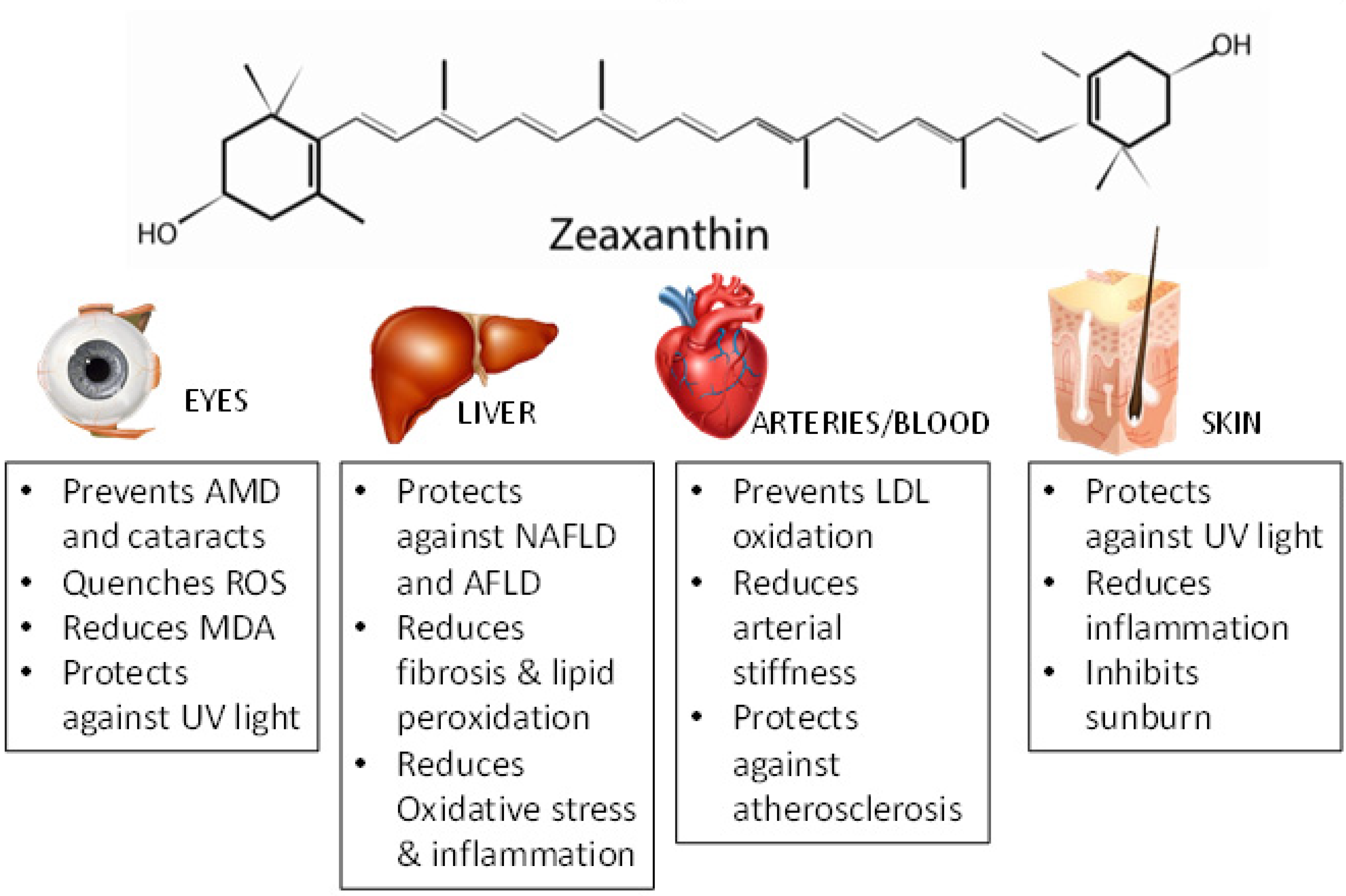 Antioxidants 08 00390 g002
