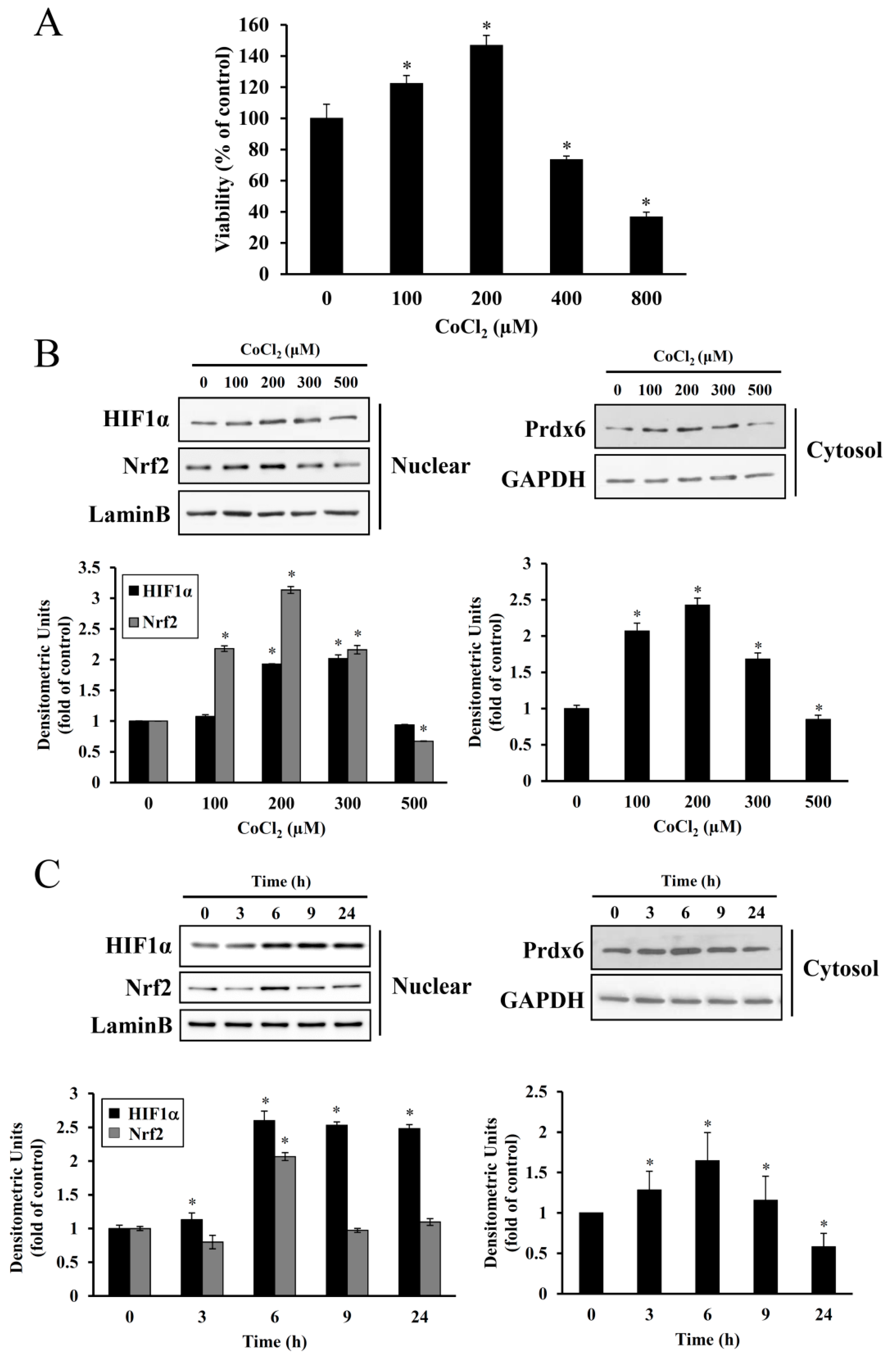 Antioxidants 08 00399 g002