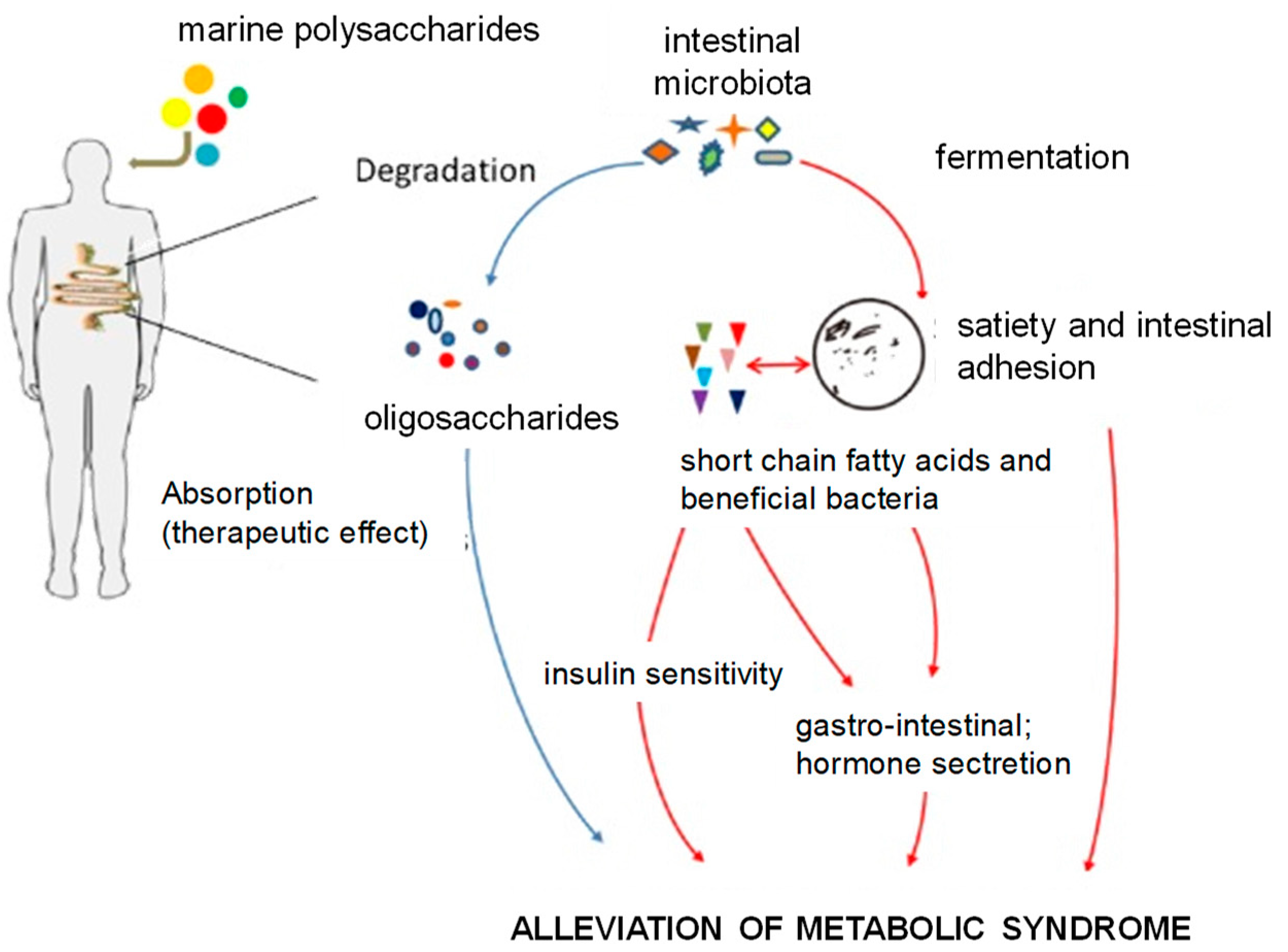 Antioxidants 08 00406 g005