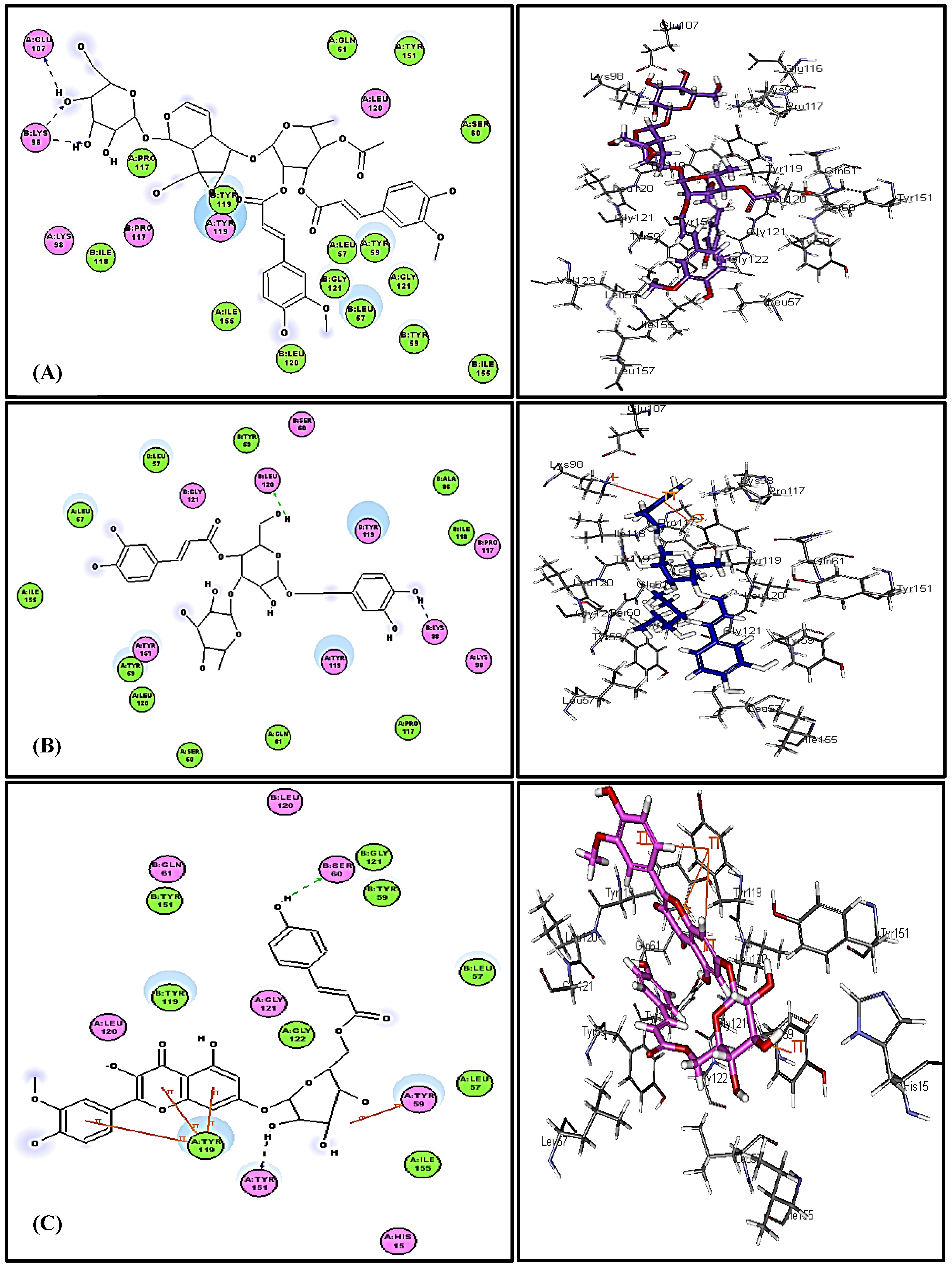 Antioxidants 08 00412 g004 Antioxidants 08 00412 g004