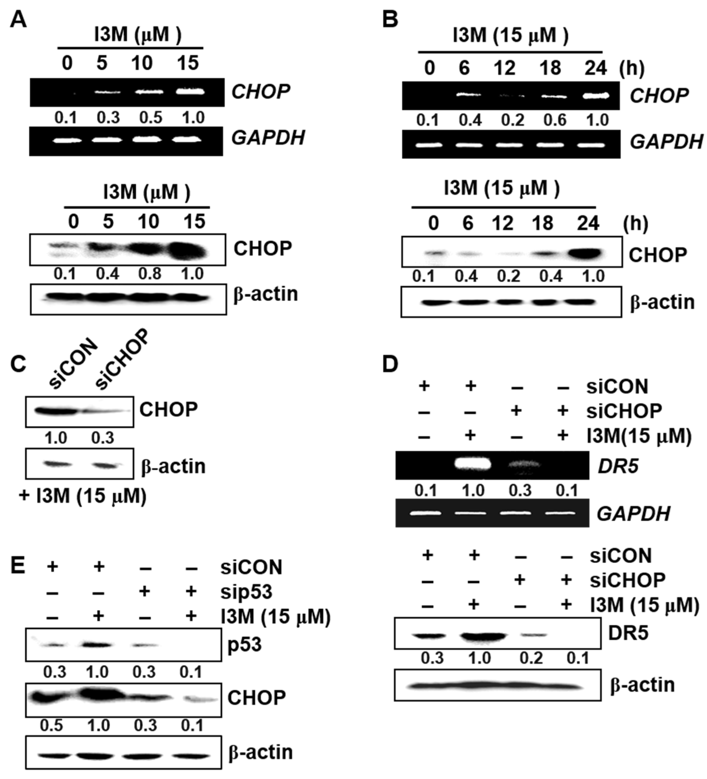 Antioxidants 08 00423 g004 Antioxidants 08 00423 g004