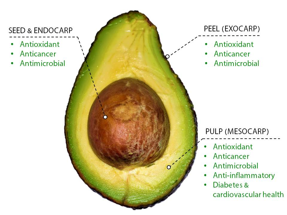 Antioxidants | Free Full-Text | The Odyssey of Bioactive Compounds in  Avocado (Persea americana) and Their Health Benefits