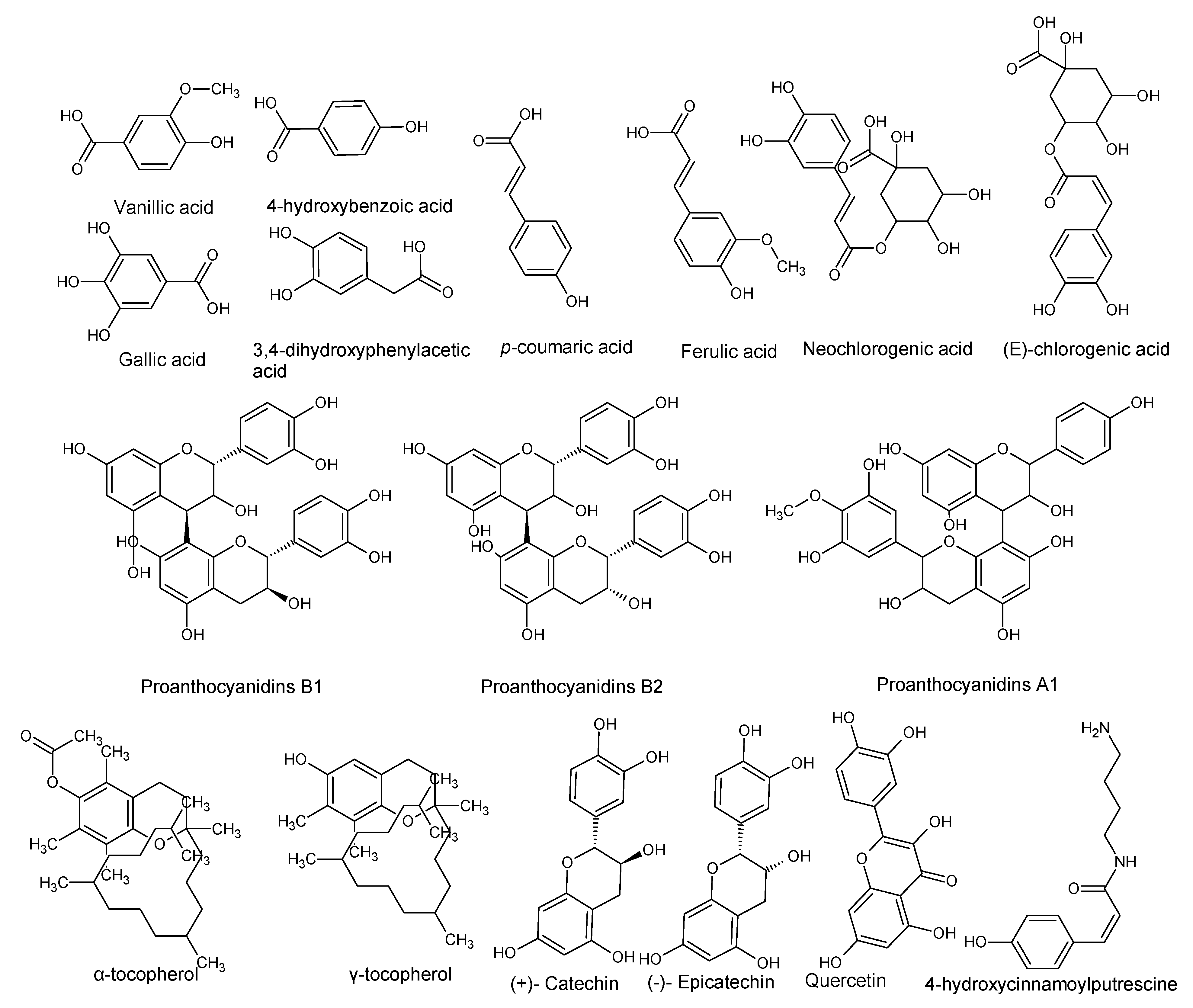 Antioxidants 08 00426 g002