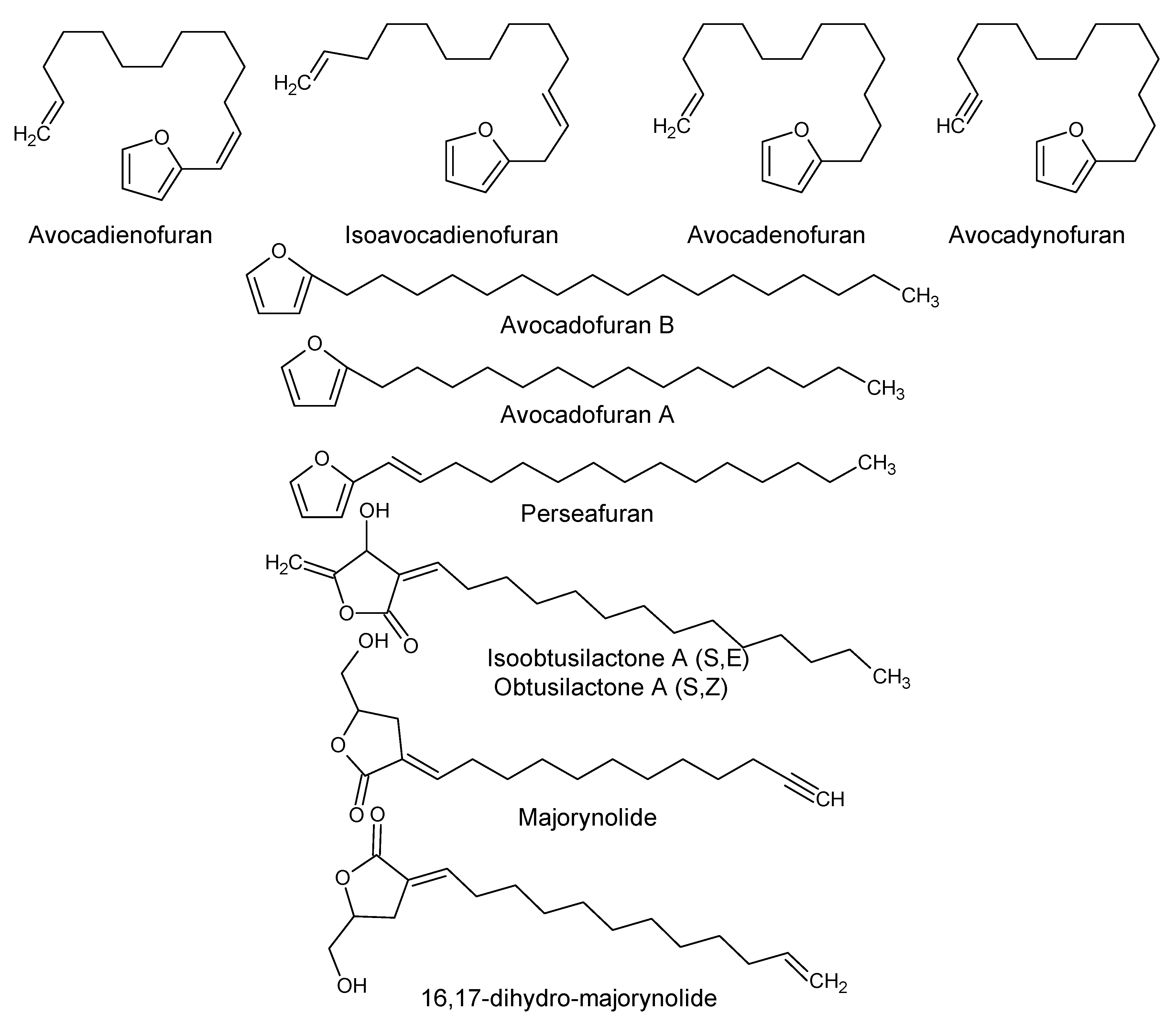Antioxidants 08 00426 g005