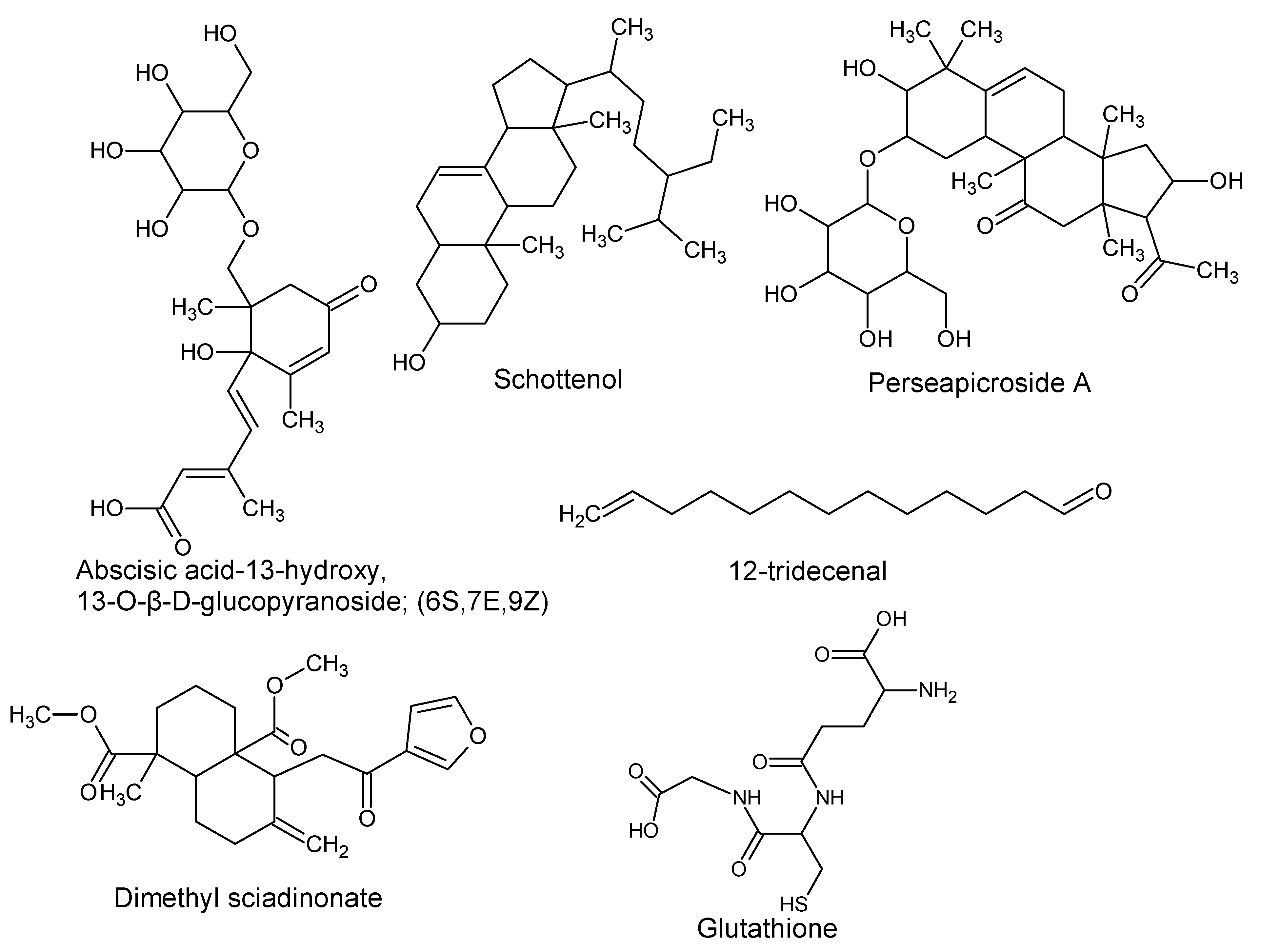 Antioxidants 08 00426 g008