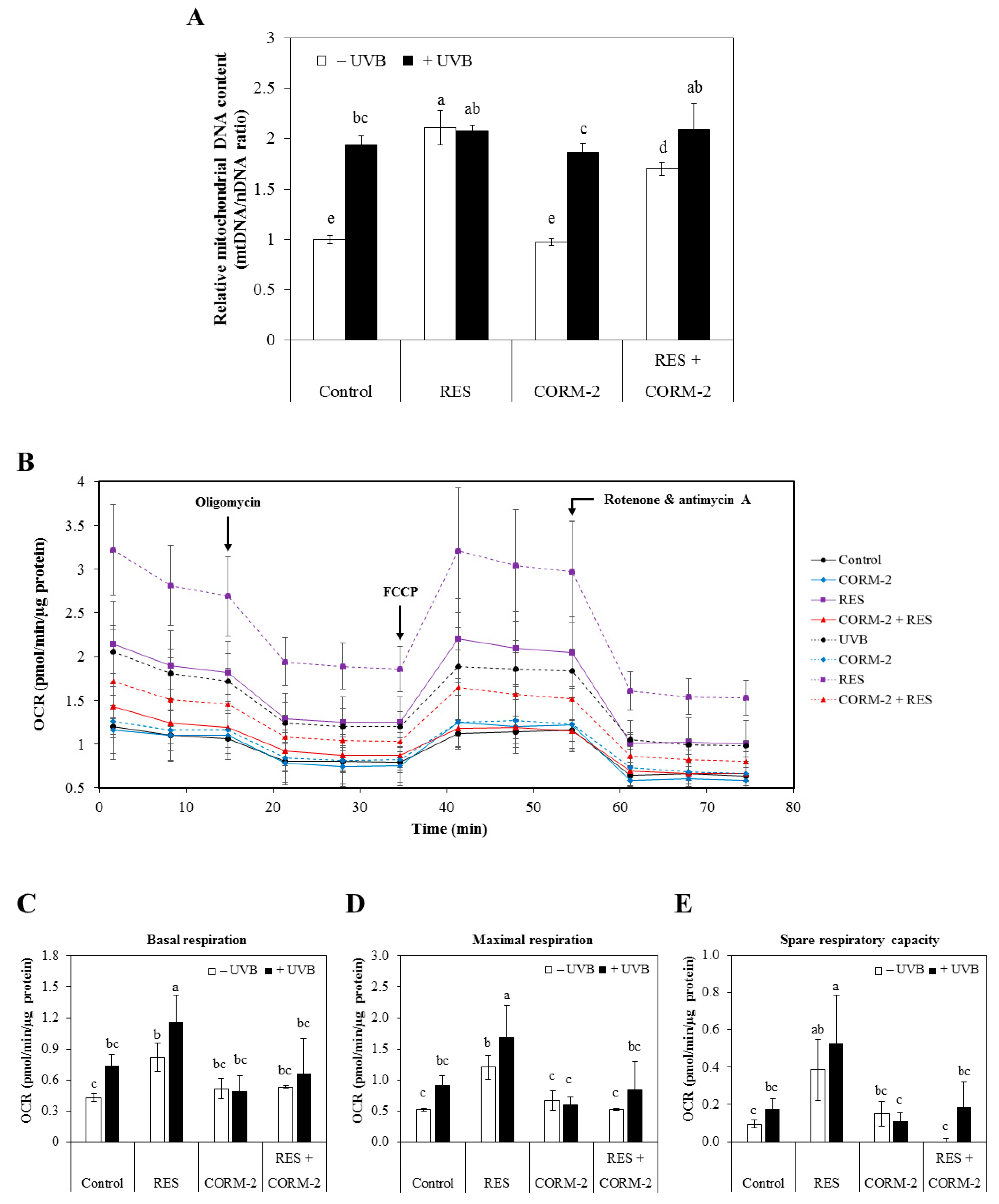 Antioxidants 08 00432 g002 Antioxidants 08 00432 g002