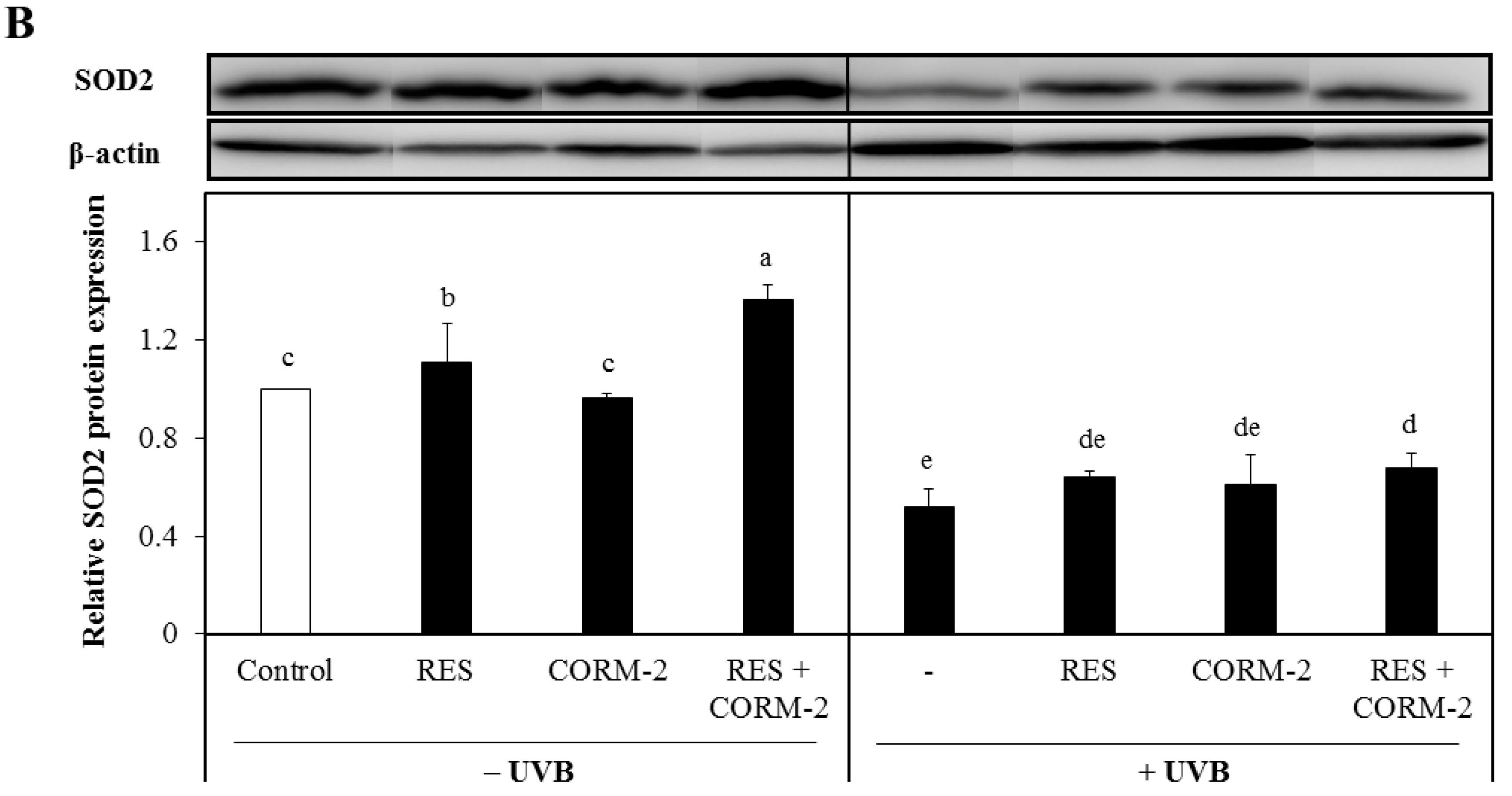 Antioxidants 08 00432 g003b Antioxidants 08 00432 g003b