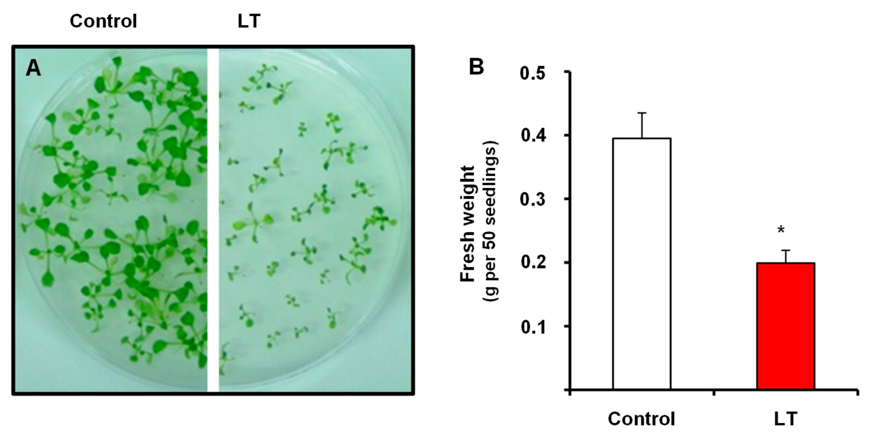 Antioxidants 08 00448 g001 Antioxidants 08 00448 g001