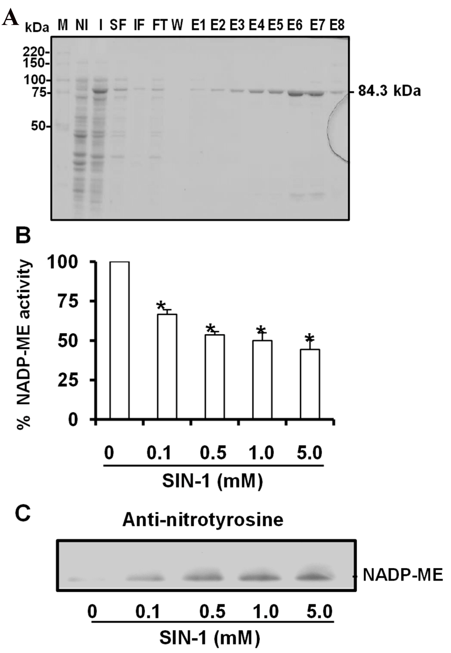Antioxidants 08 00448 g004 Antioxidants 08 00448 g004