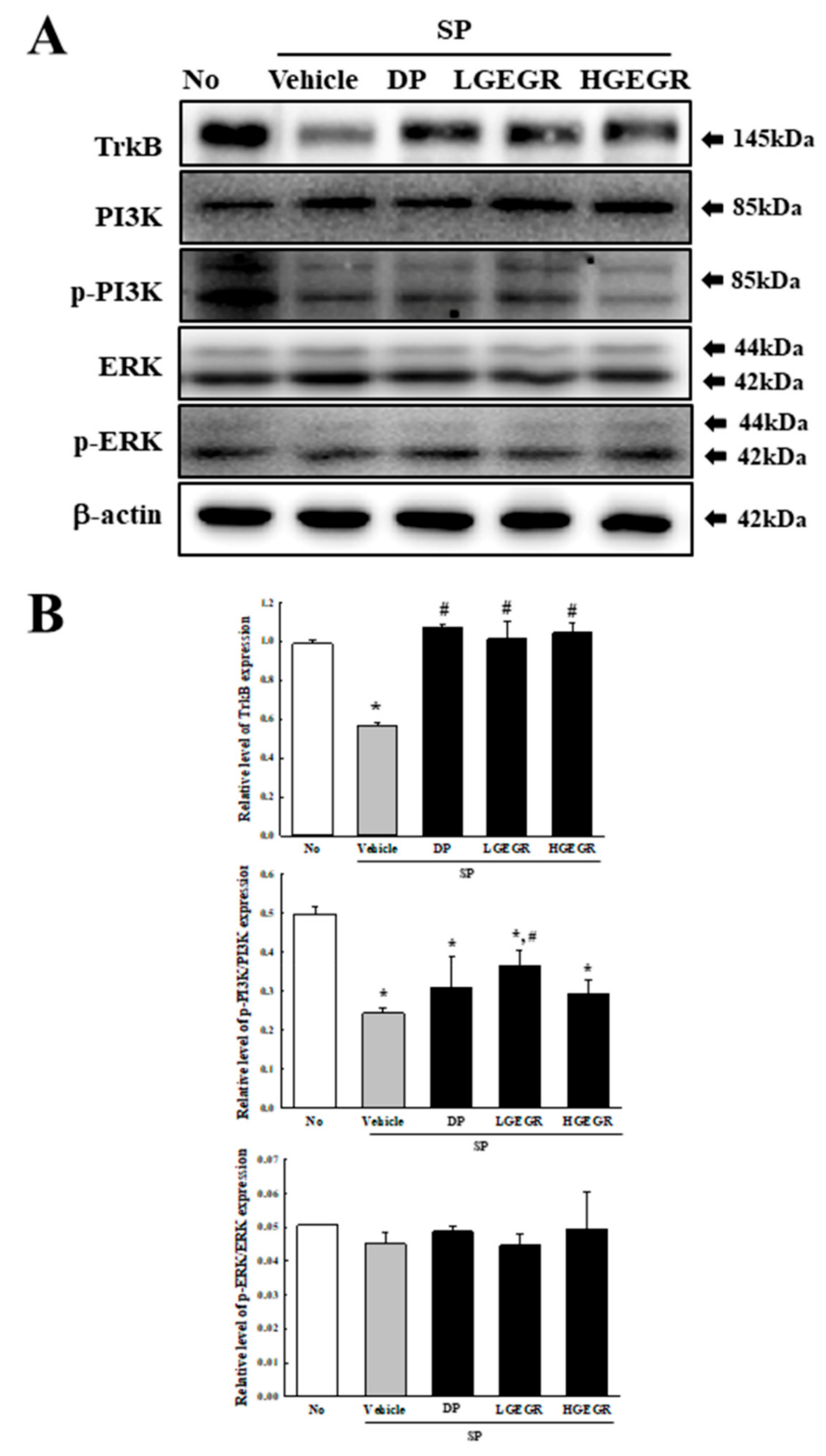 Antioxidants 08 00450 g005 Antioxidants 08 00450 g005