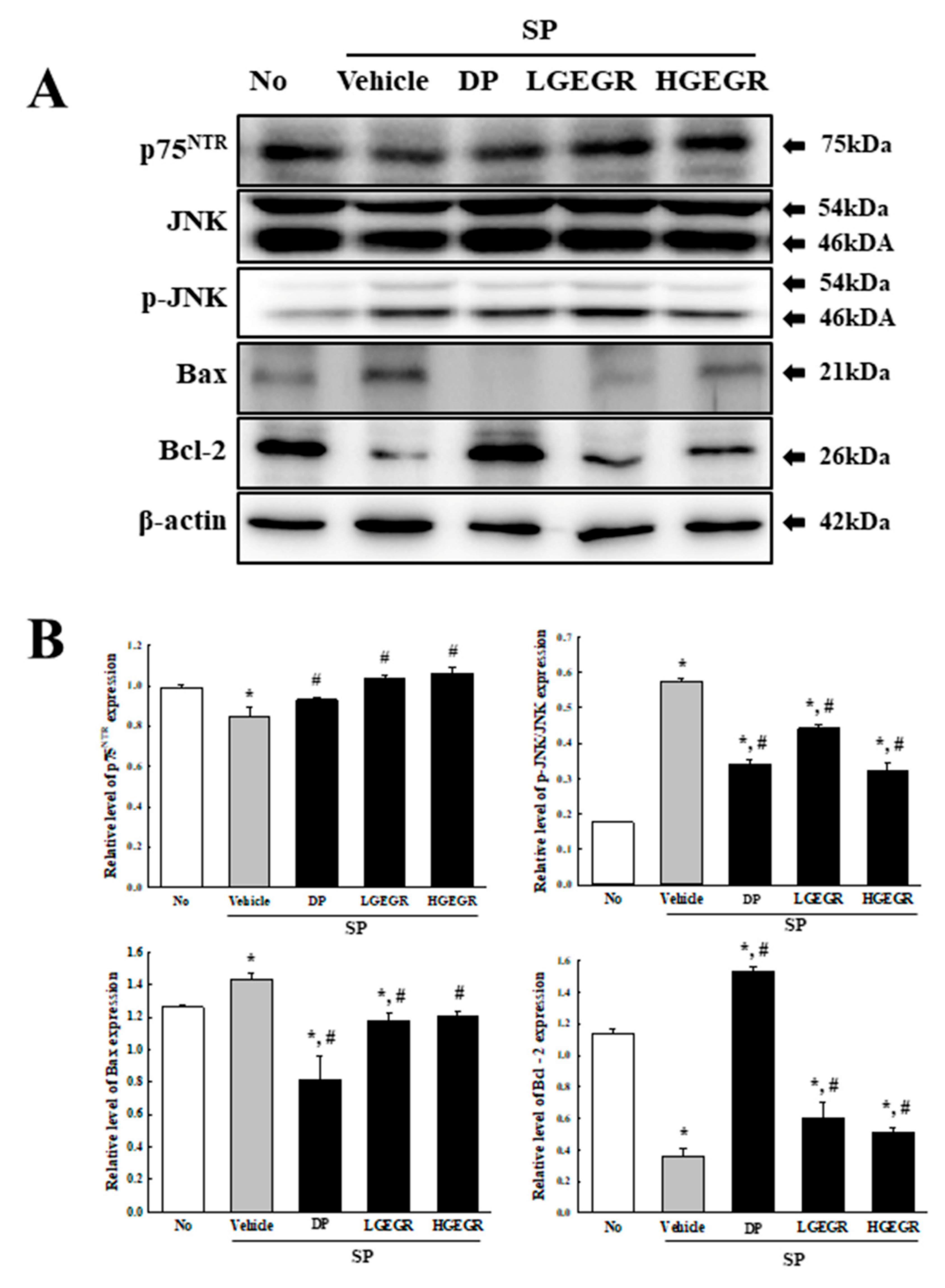 Antioxidants 08 00450 g006 Antioxidants 08 00450 g006