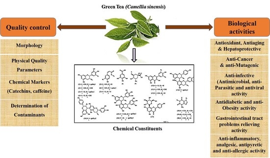 Antioxidants Free Full Text A Comprehensive Insight On The