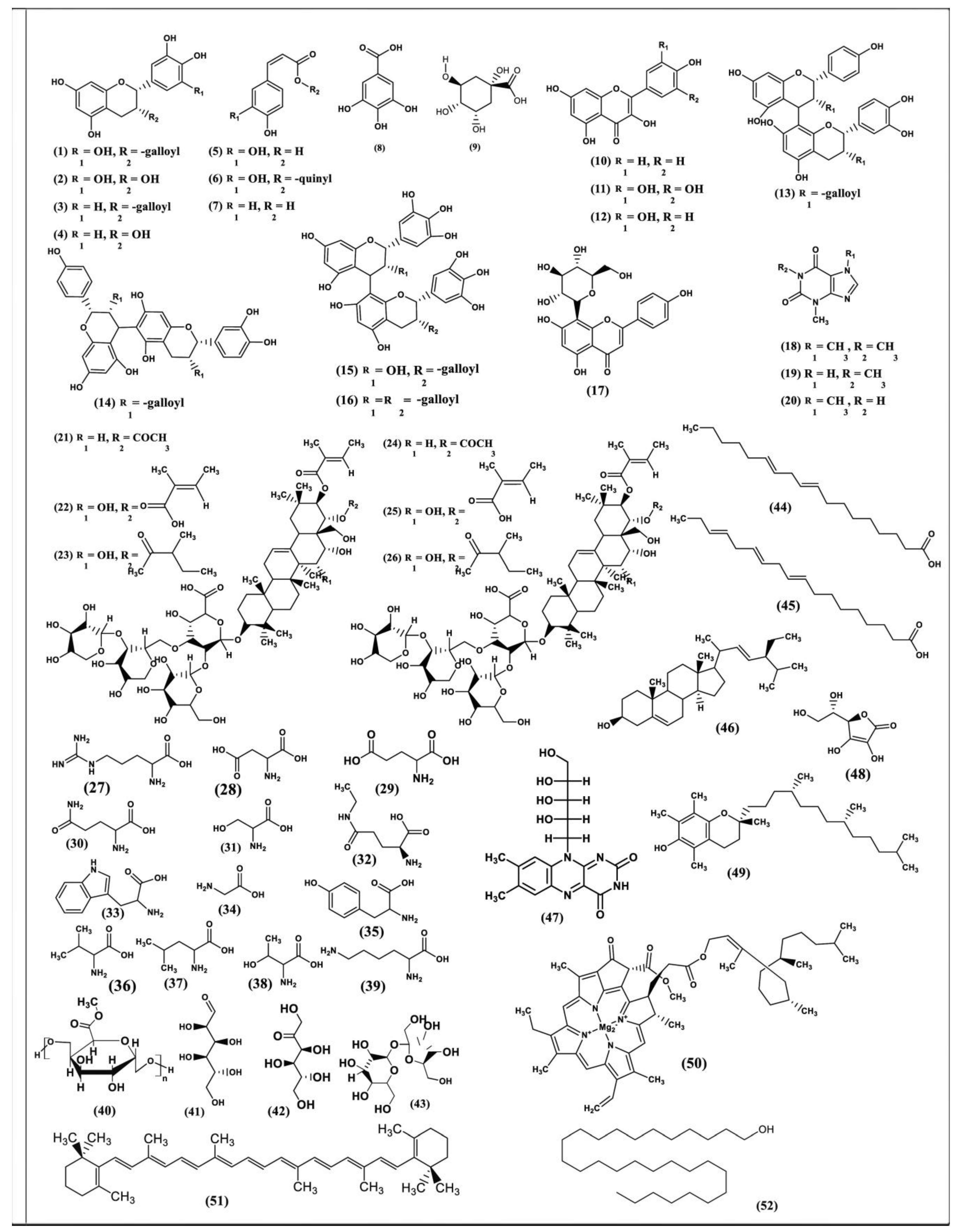 Antioxidants 08 00455 g001 Antioxidants 08 00455 g001