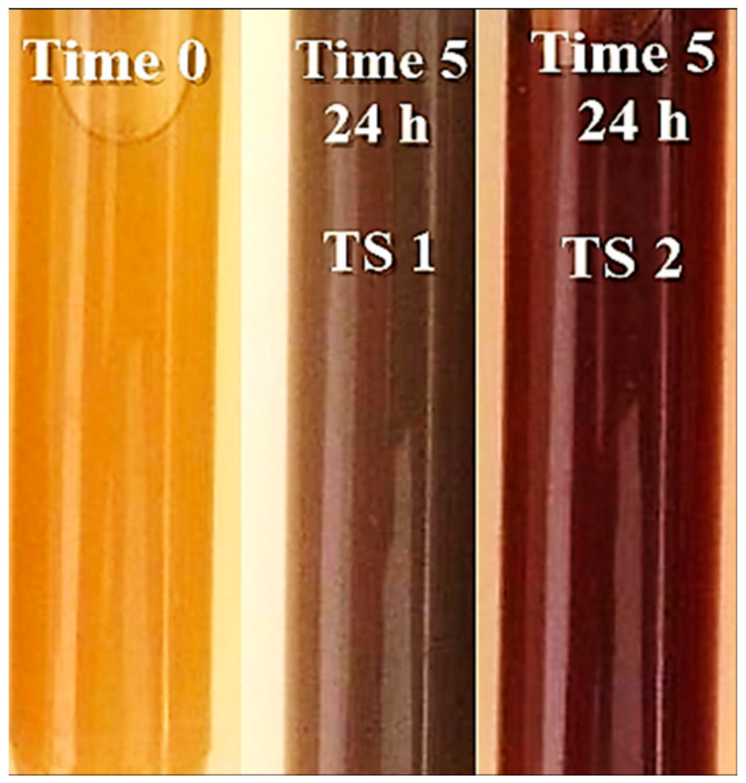 Antioxidants 08 00459 g001 Antioxidants 08 00459 g001