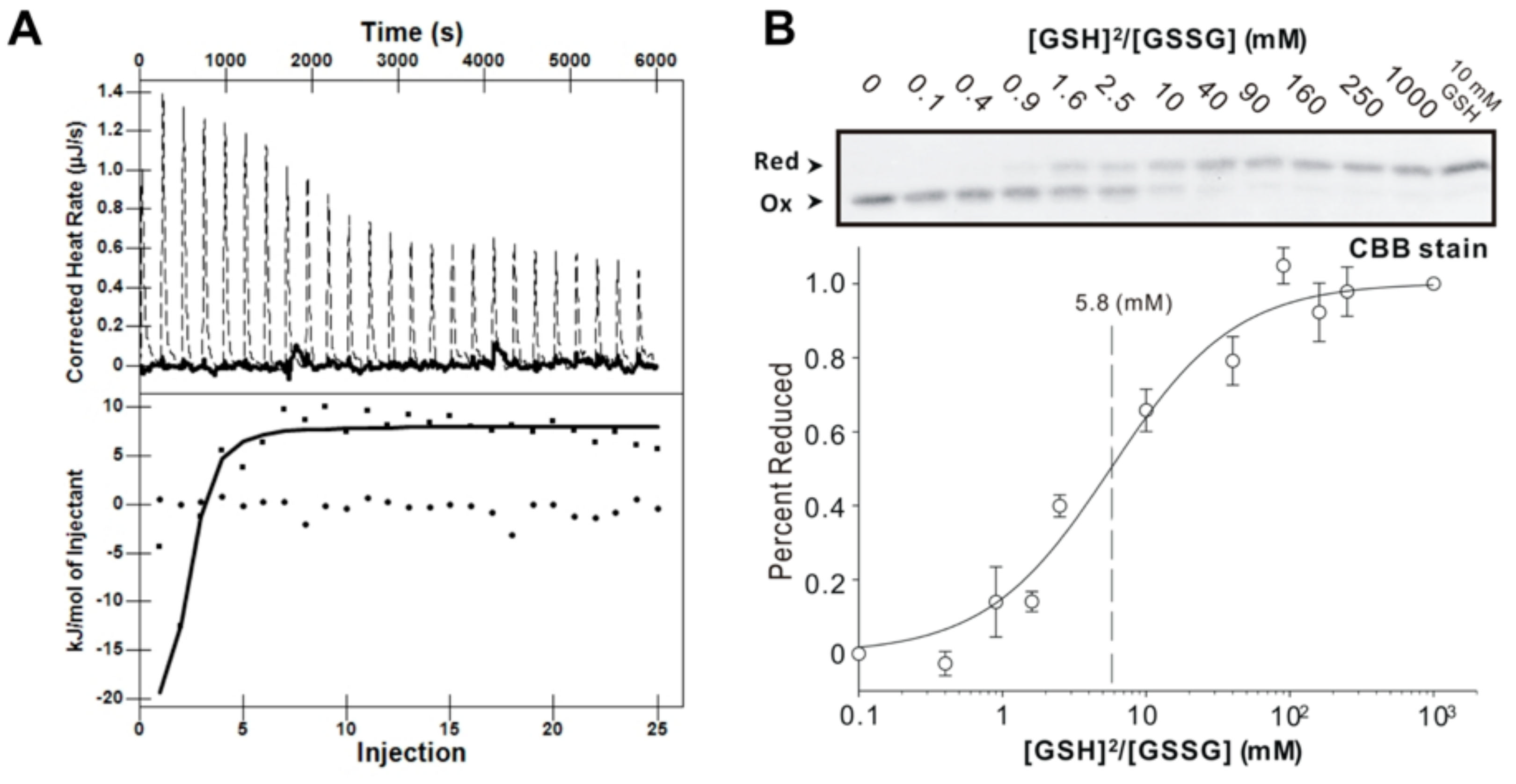 Antioxidants 08 00461 g003 Antioxidants 08 00461 g003