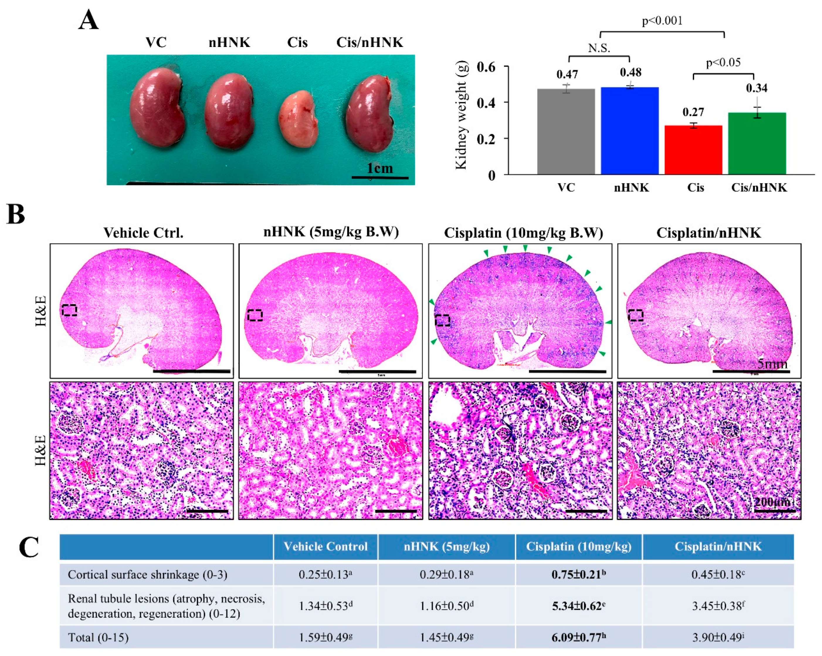 Antioxidants 08 00466 g002