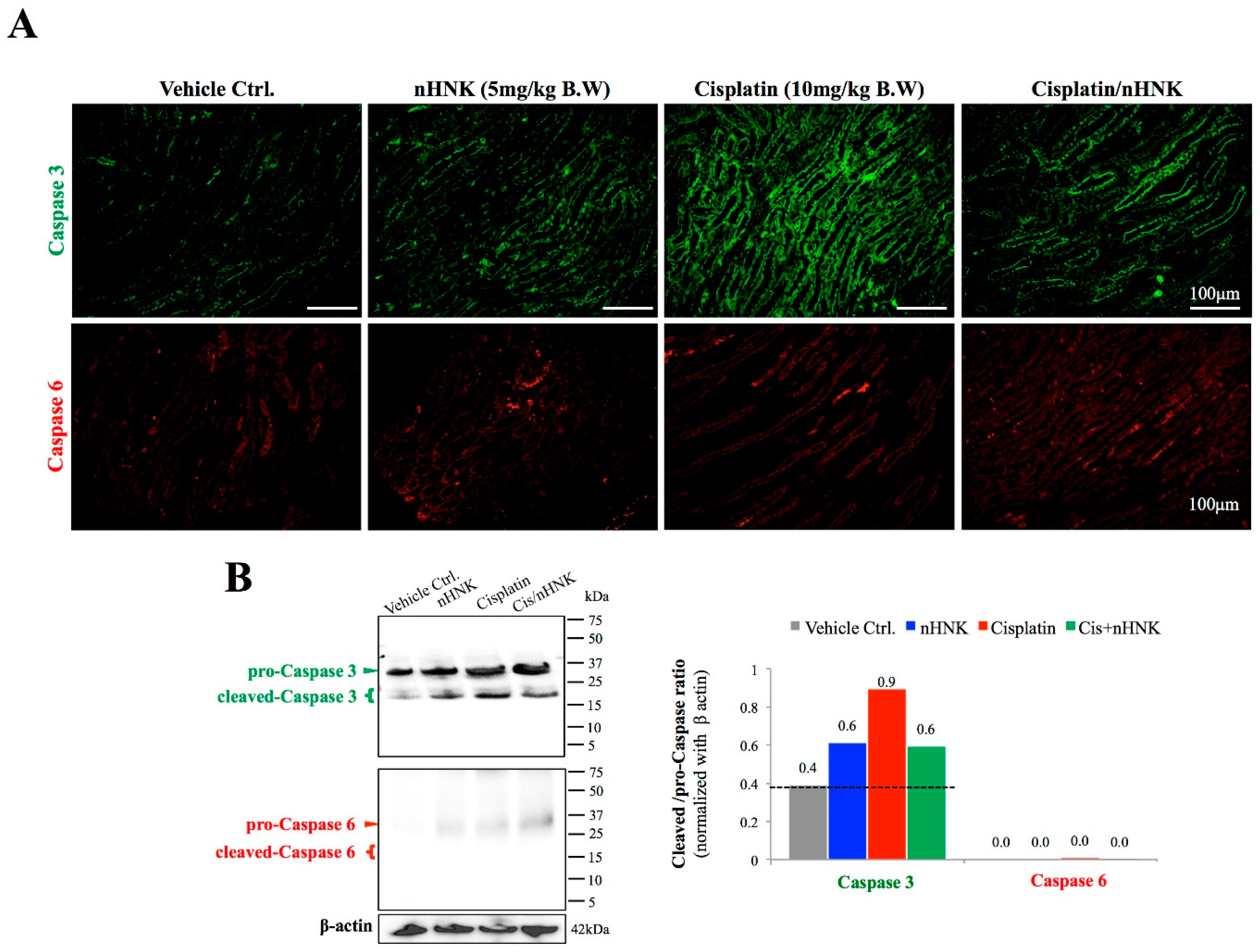 Antioxidants 08 00466 g005