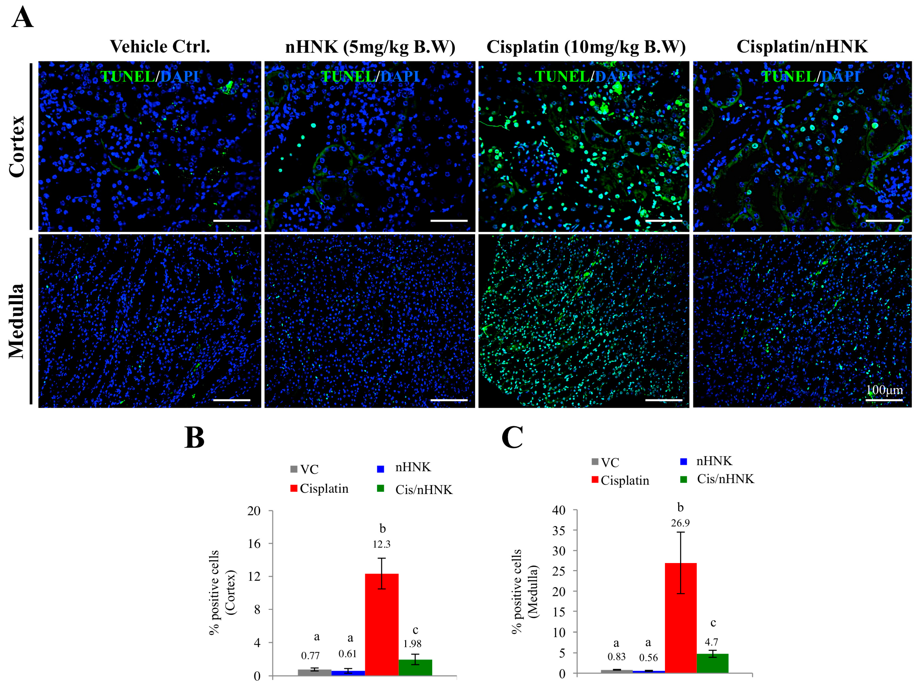 Antioxidants 08 00466 g006