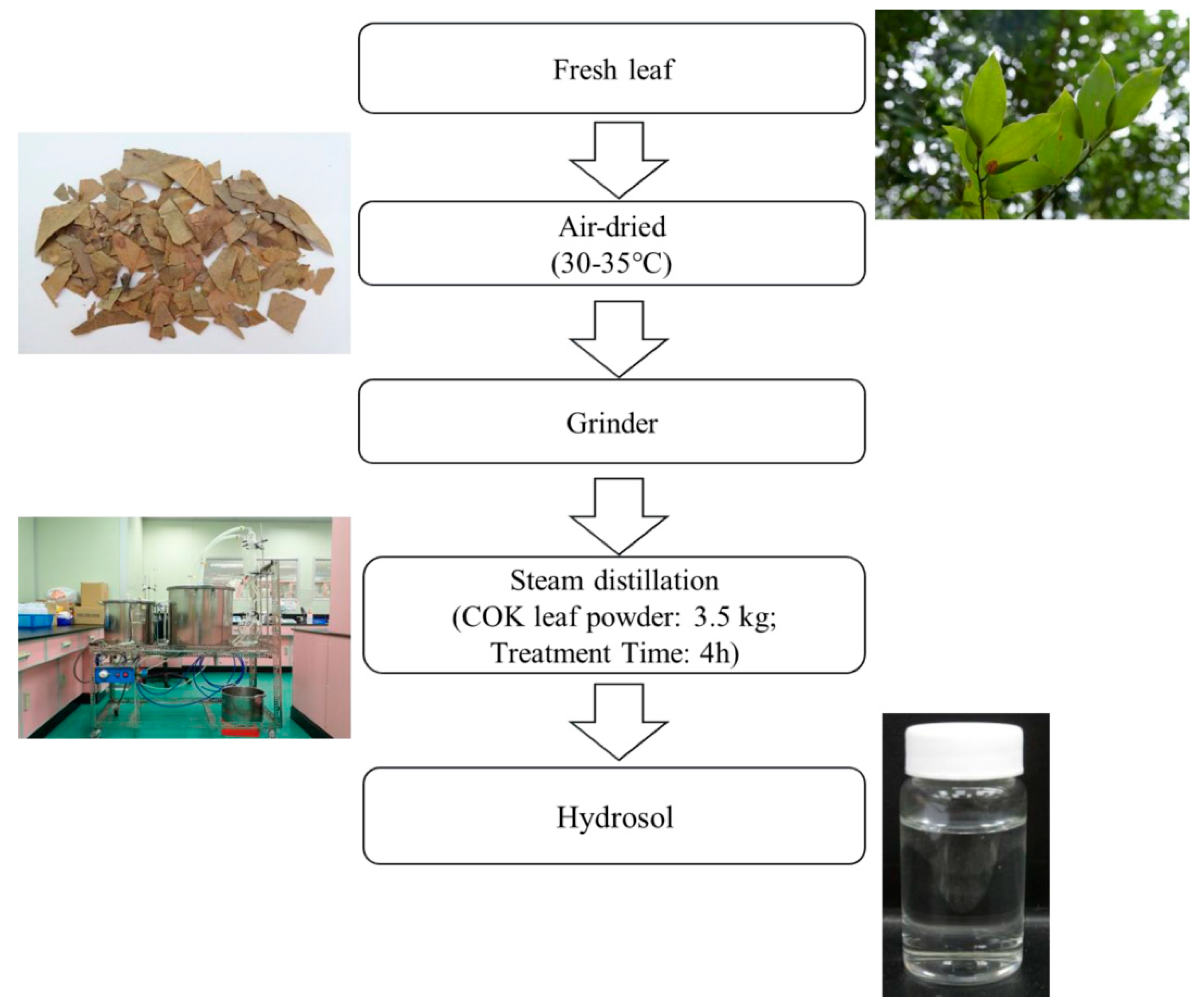 Antioxidants 08 00474 g001