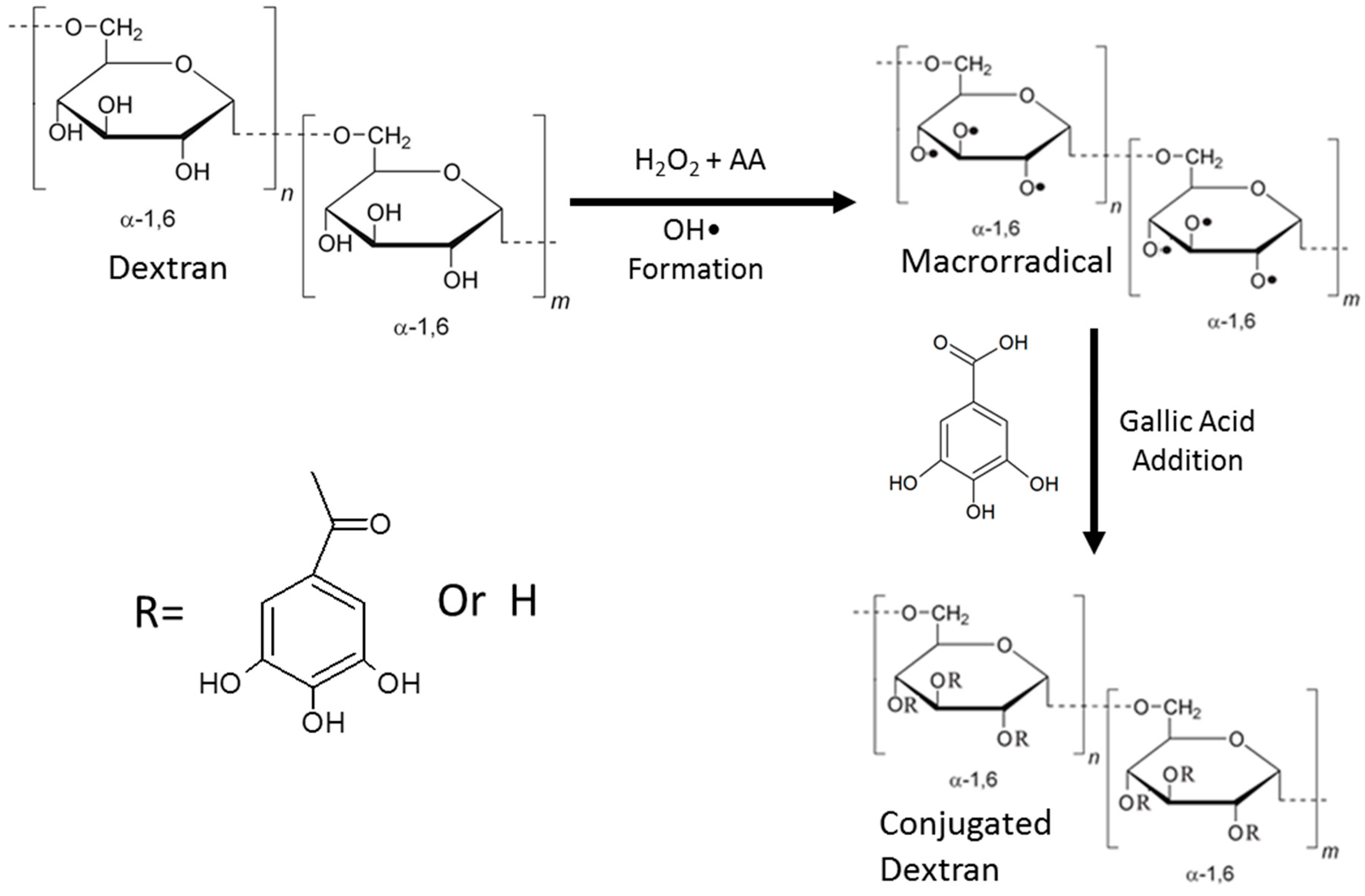 Antioxidants 08 00478 g001 550