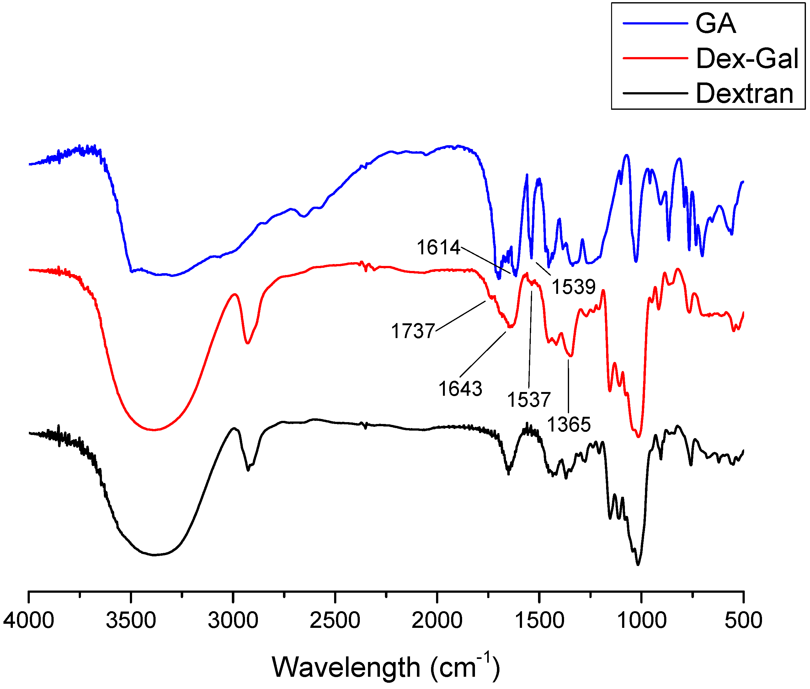 Antioxidants 08 00478 g002 550