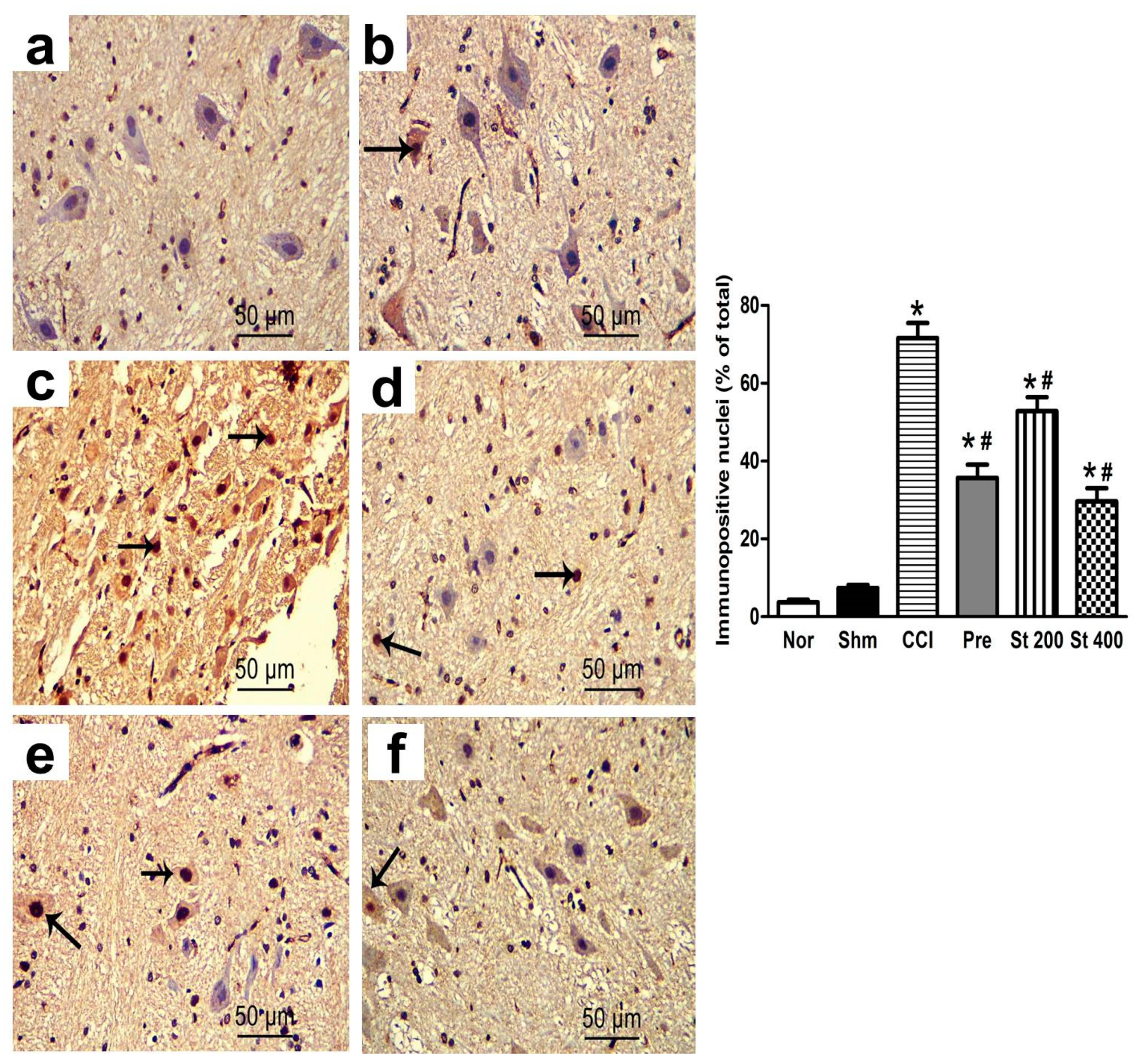 Antioxidants 08 00482 g005
