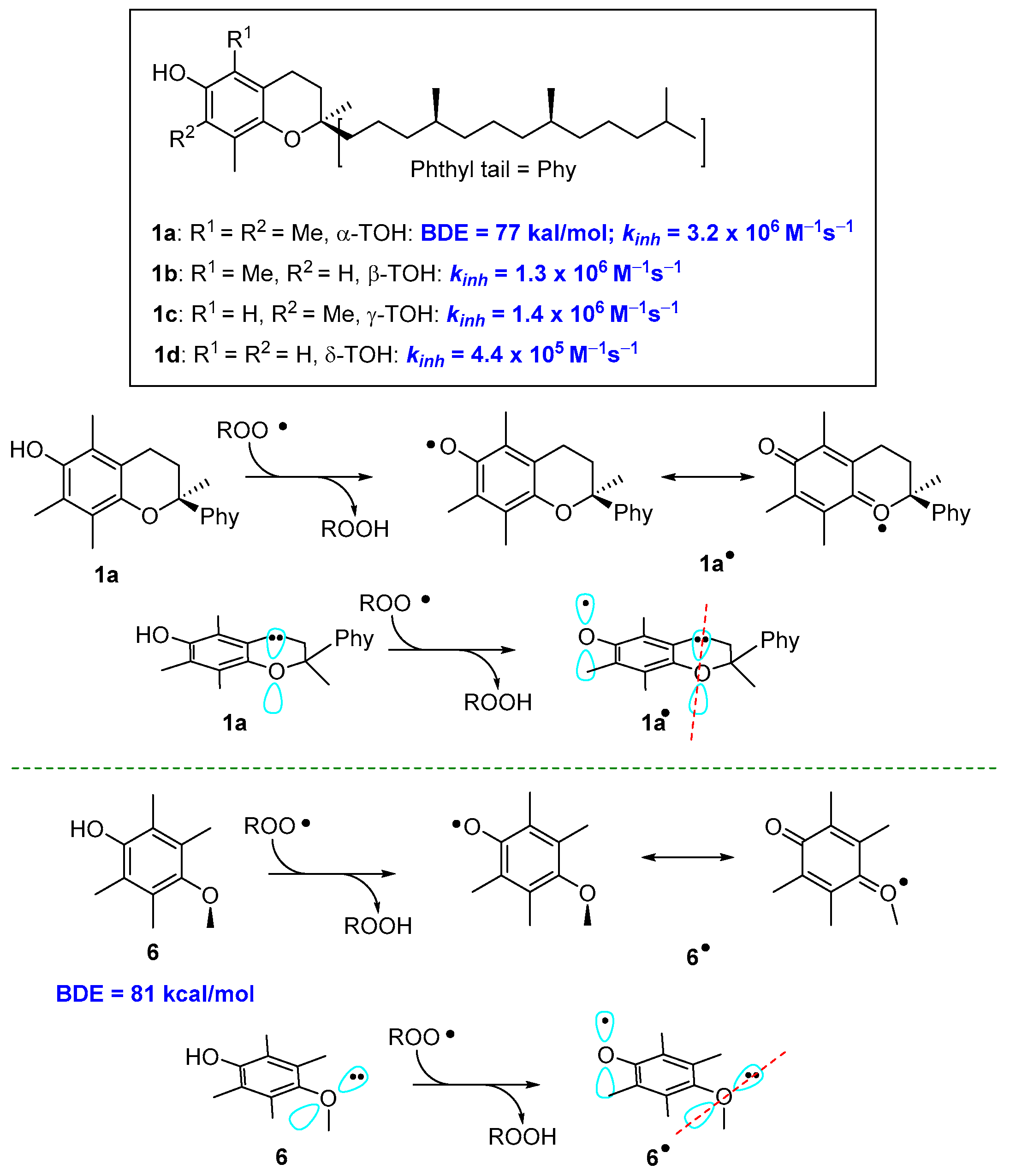 Antioxidants 08 00487 g003 Antioxidants 08 00487 g003