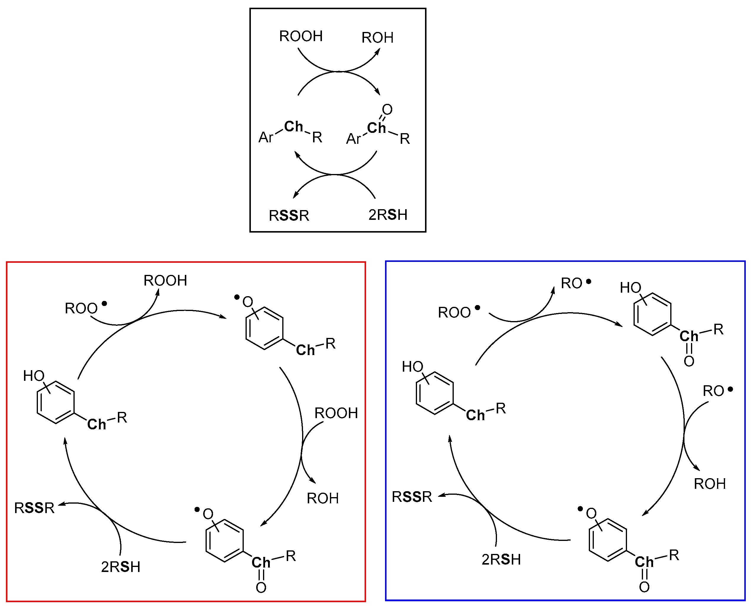 Antioxidants 08 00487 g012 Antioxidants 08 00487 g012