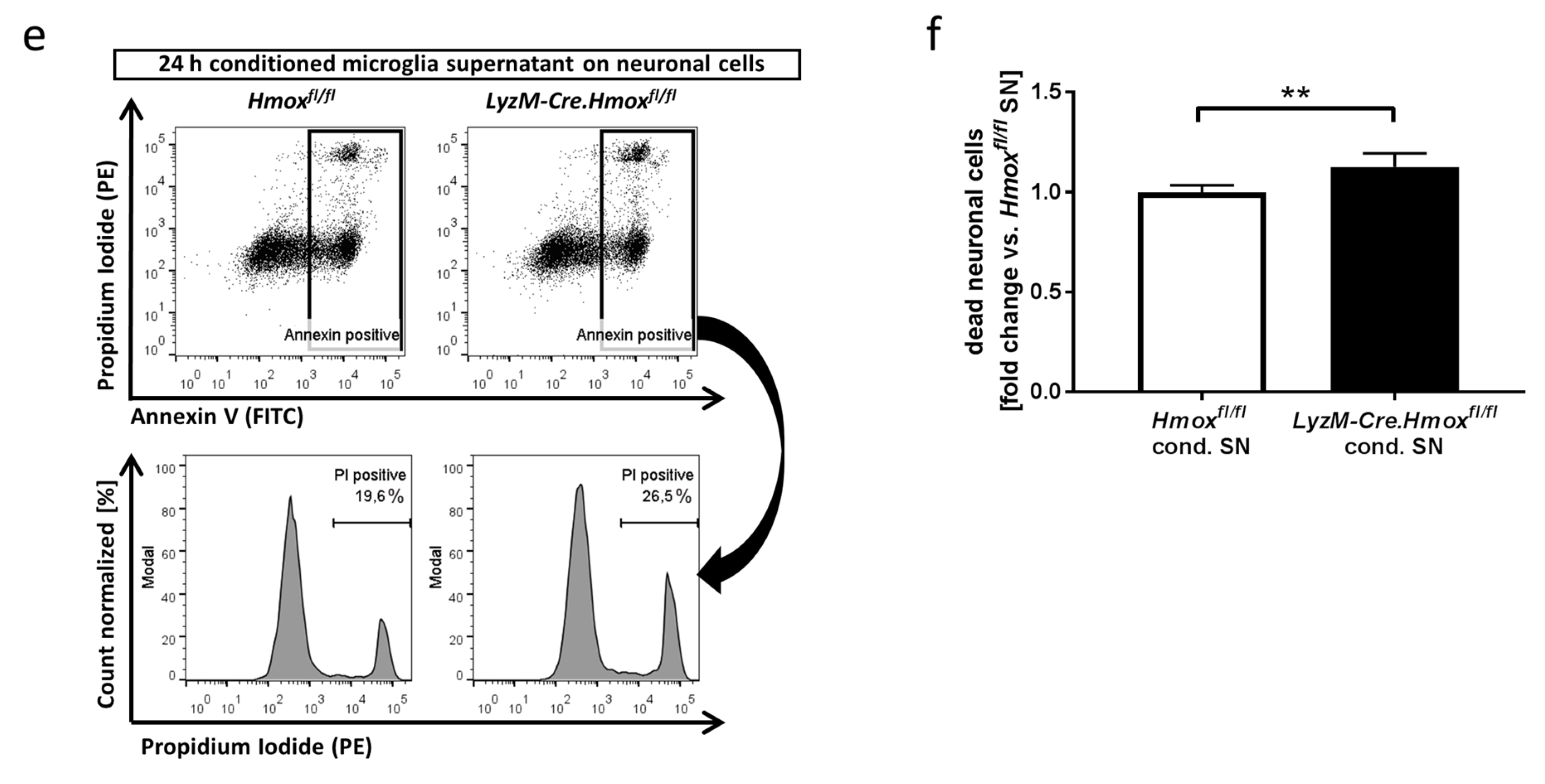 Antioxidants 08 00496 g005b