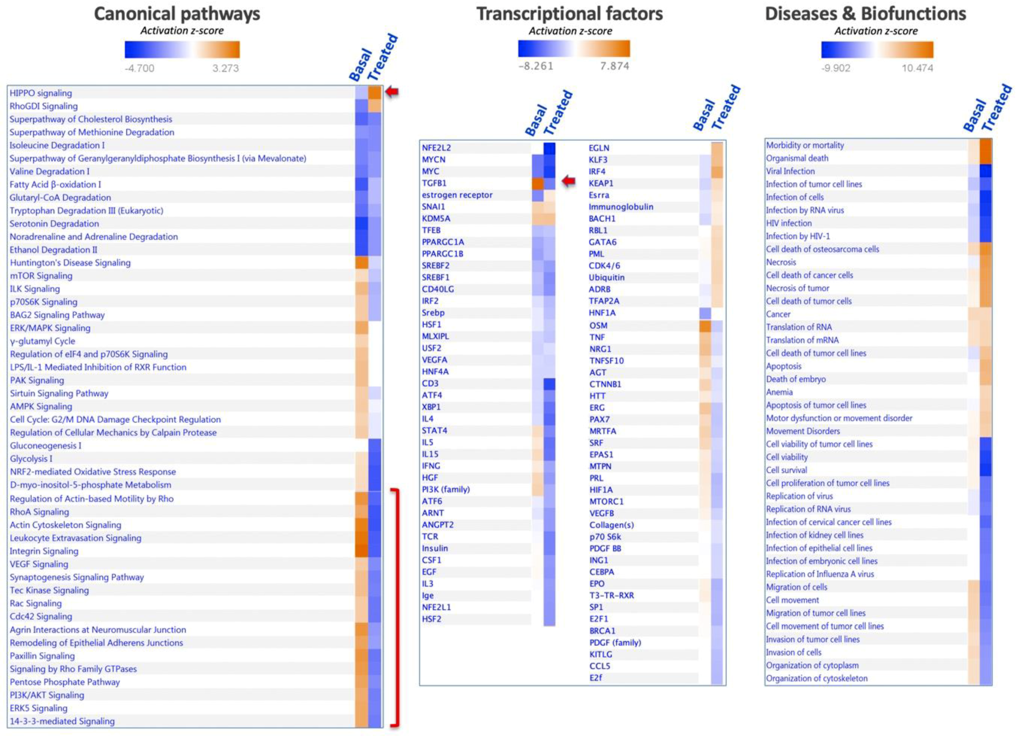 Antioxidants 08 00501 g007 Antioxidants 08 00501 g007