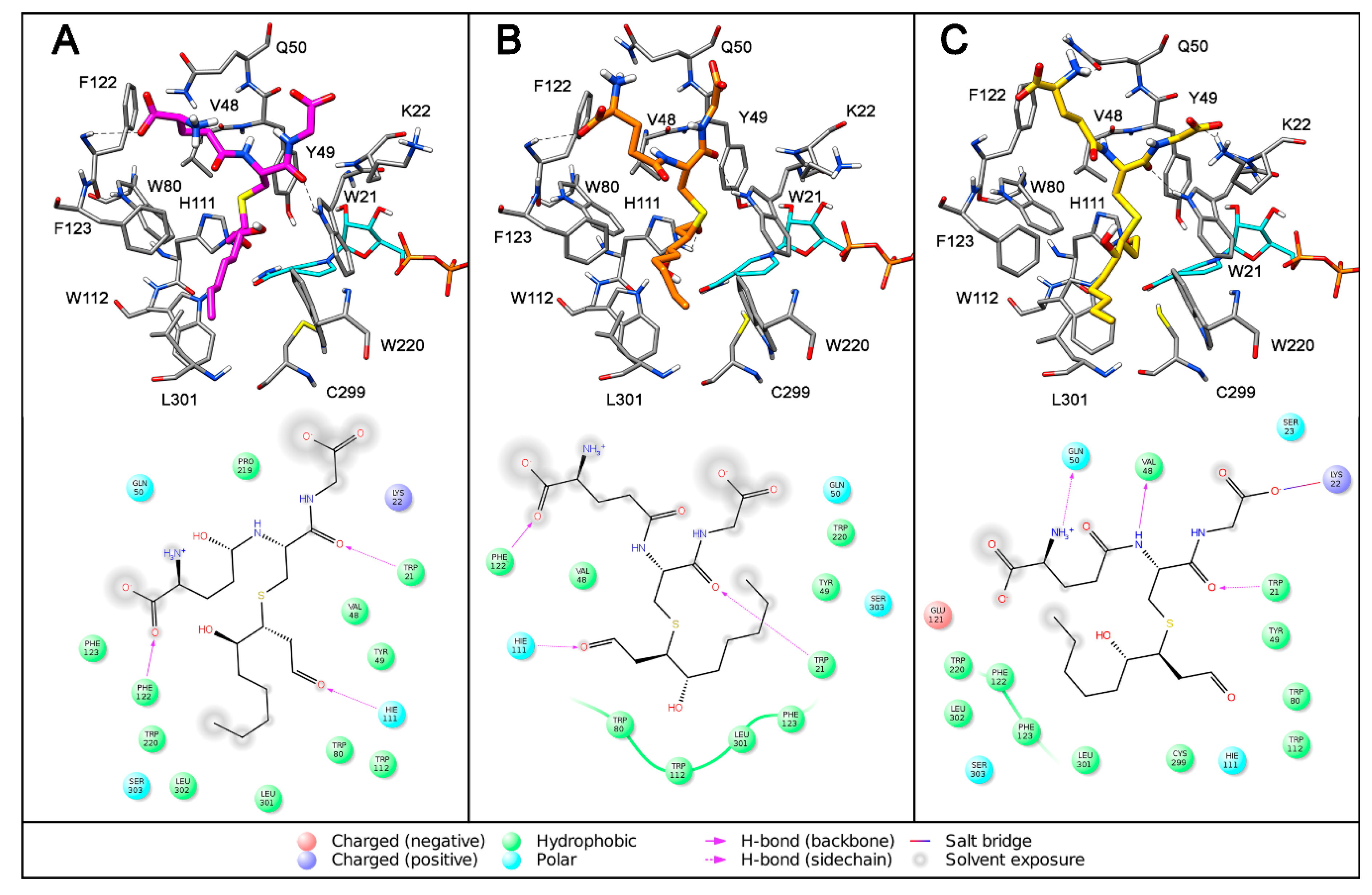 Antioxidants 08 00502 g006