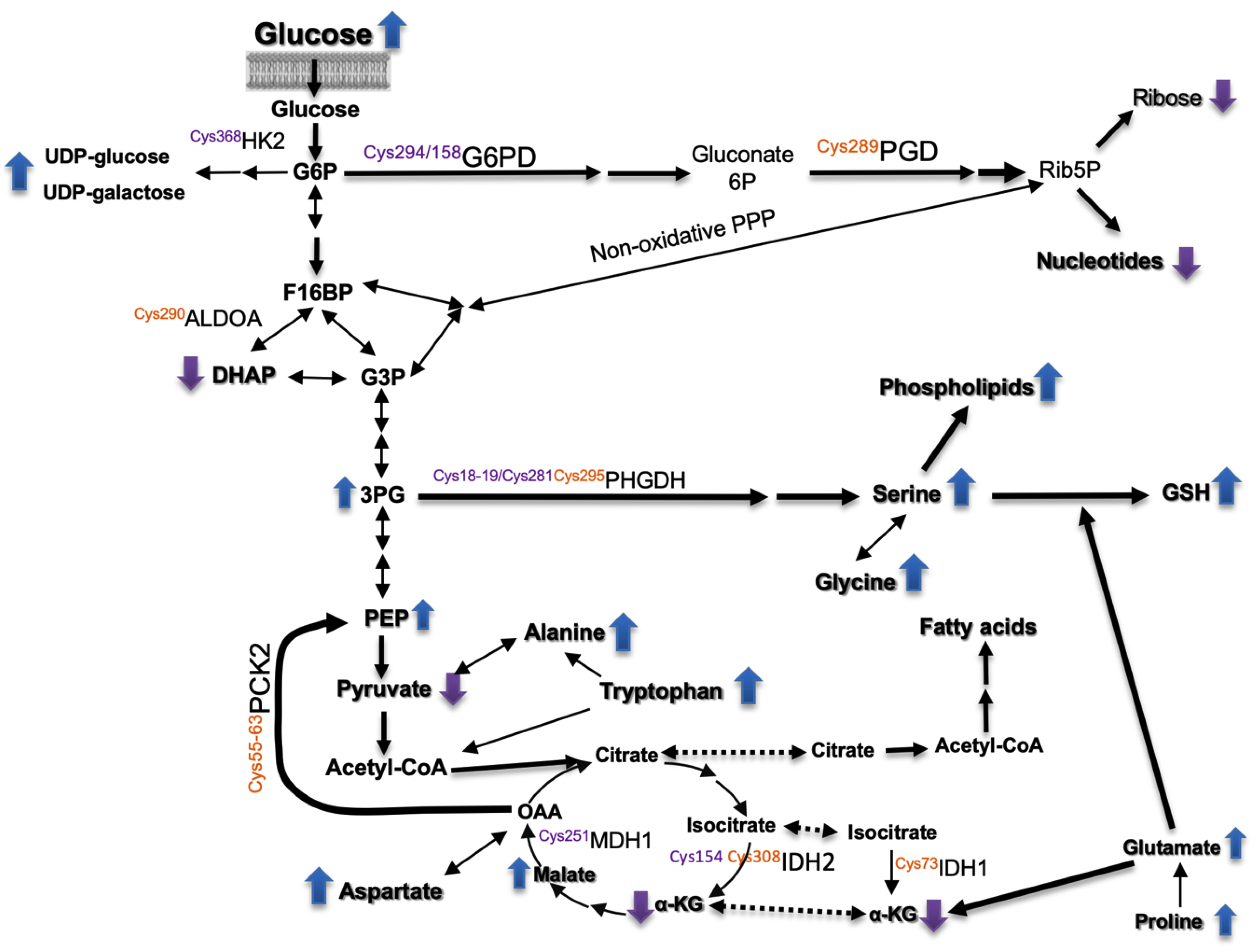 Antioxidants 08 00505 sch001