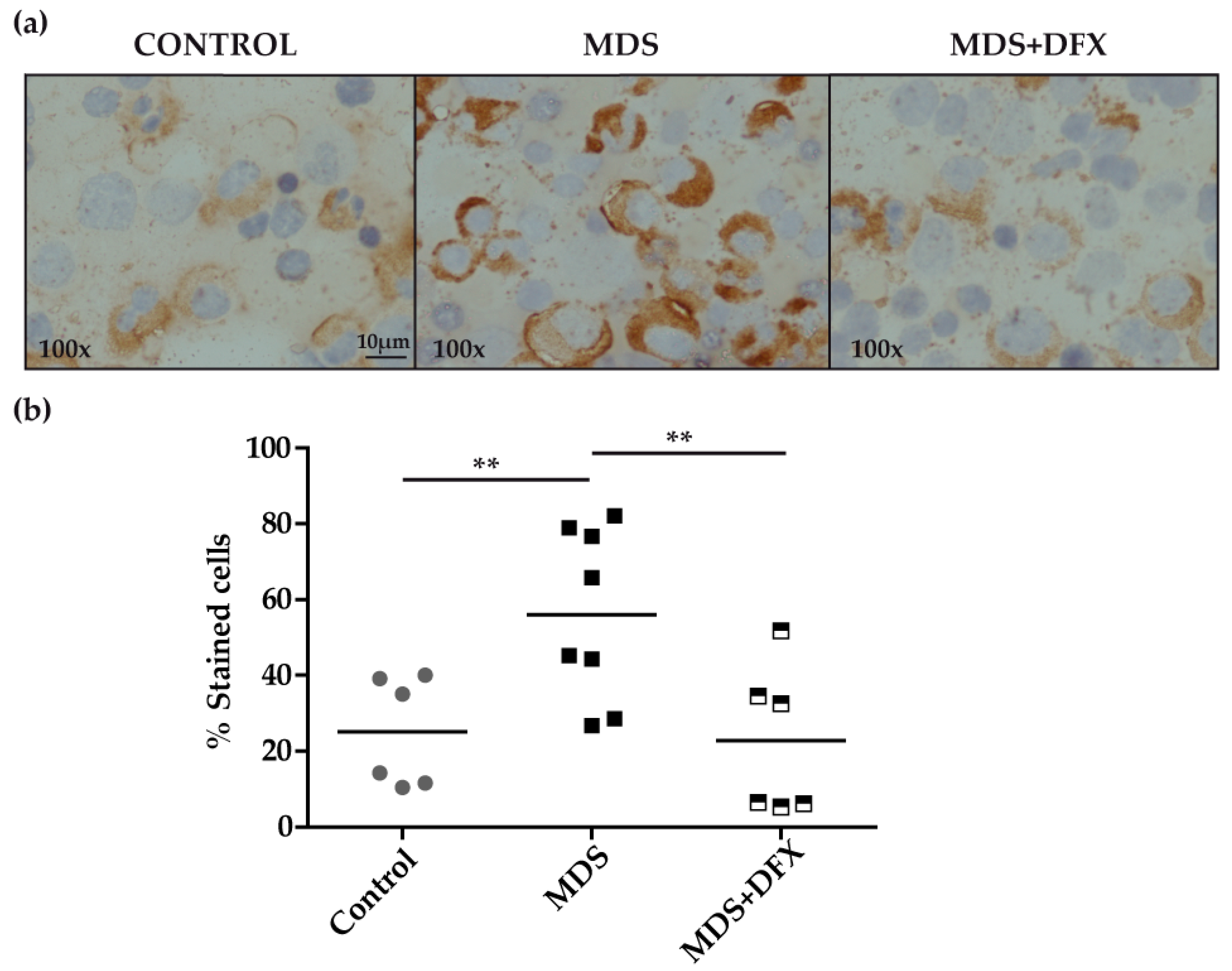 Antioxidants 08 00508 g001