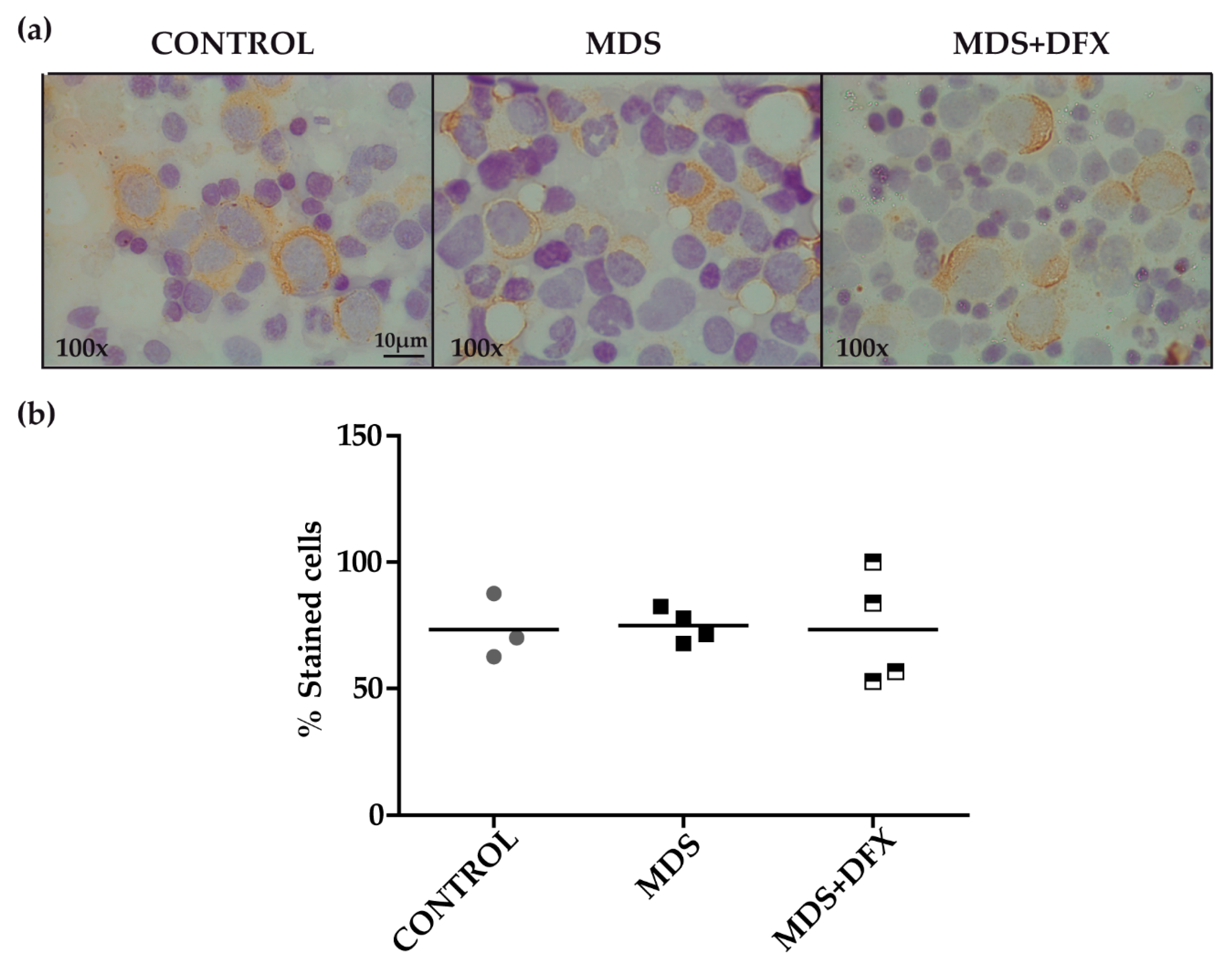 Antioxidants 08 00508 g002