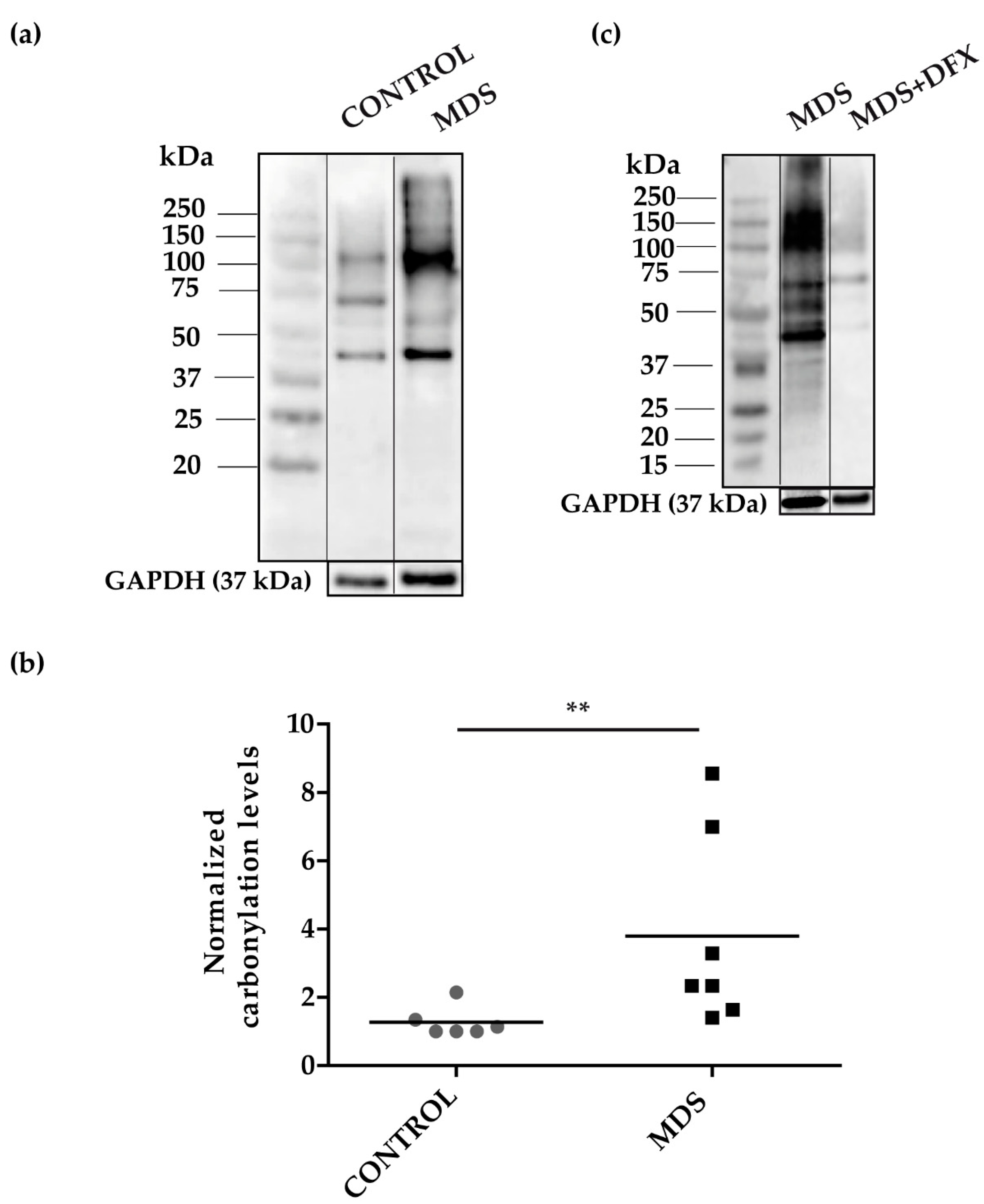 Antioxidants 08 00508 g003