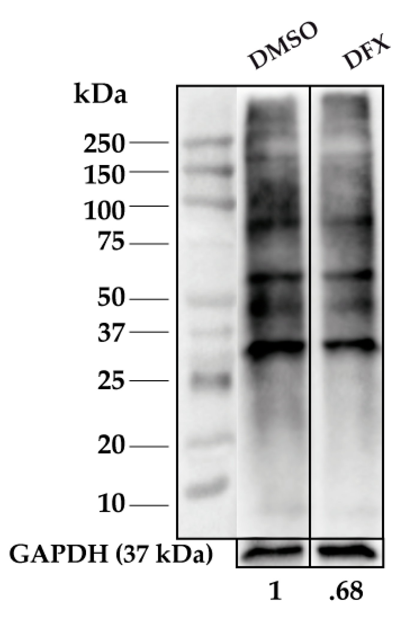 Antioxidants 08 00508 g0a3