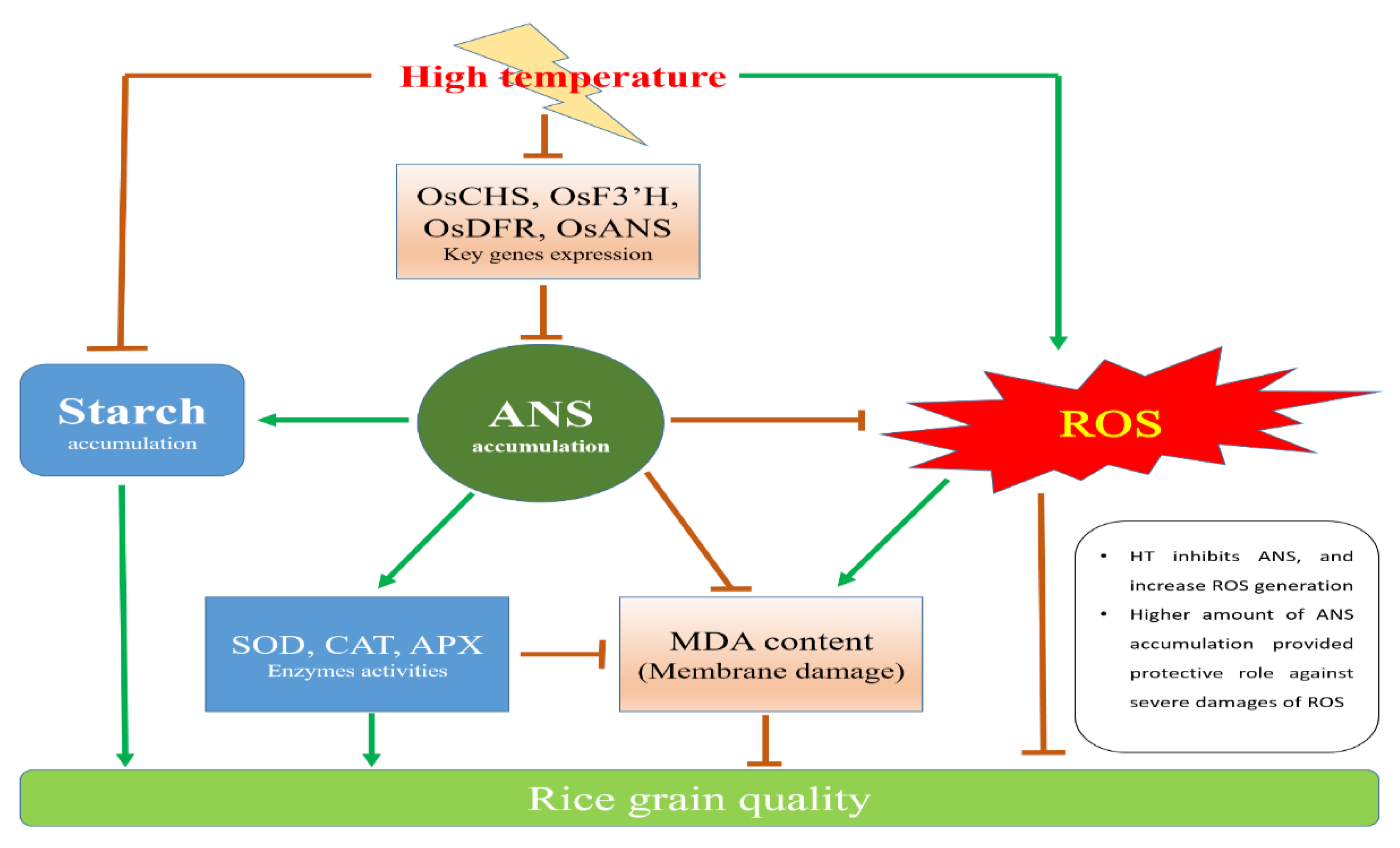 Antioxidants 08 00510 g005