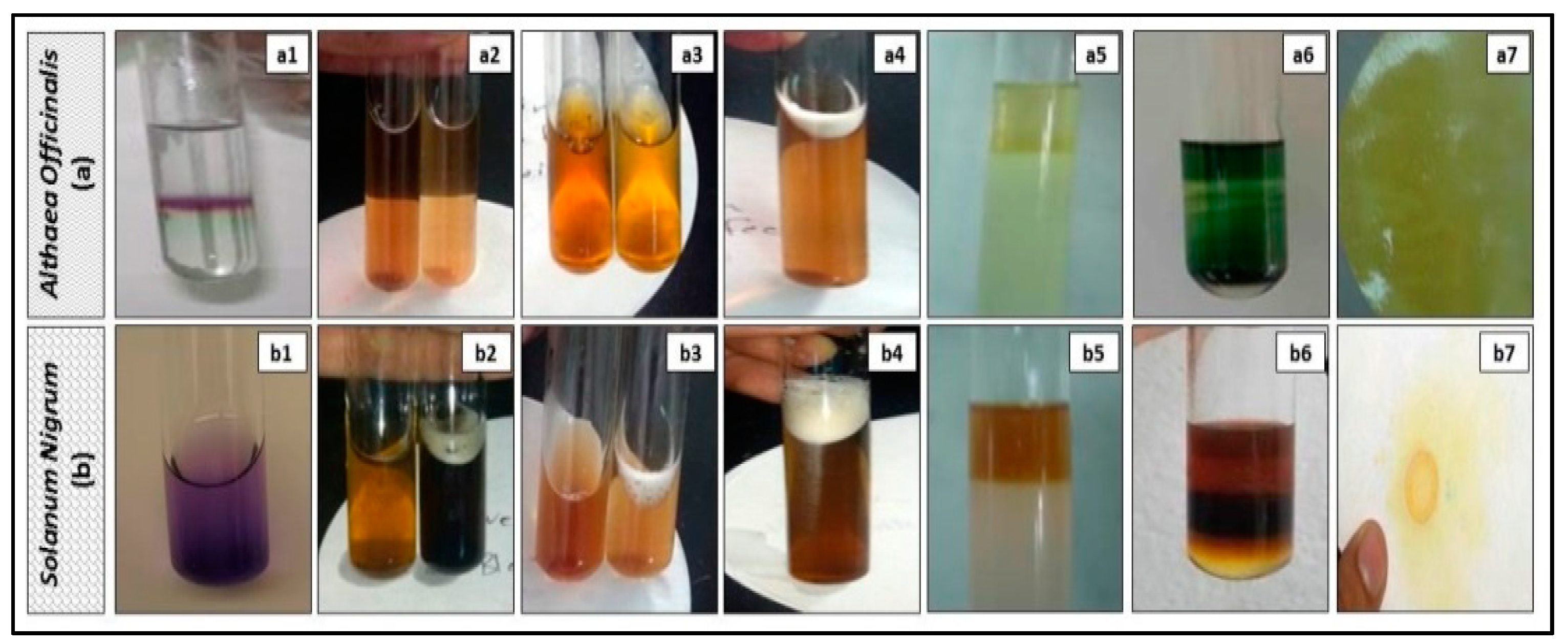 Antioxidants 08 00512 g001 Antioxidants 08 00512 g001