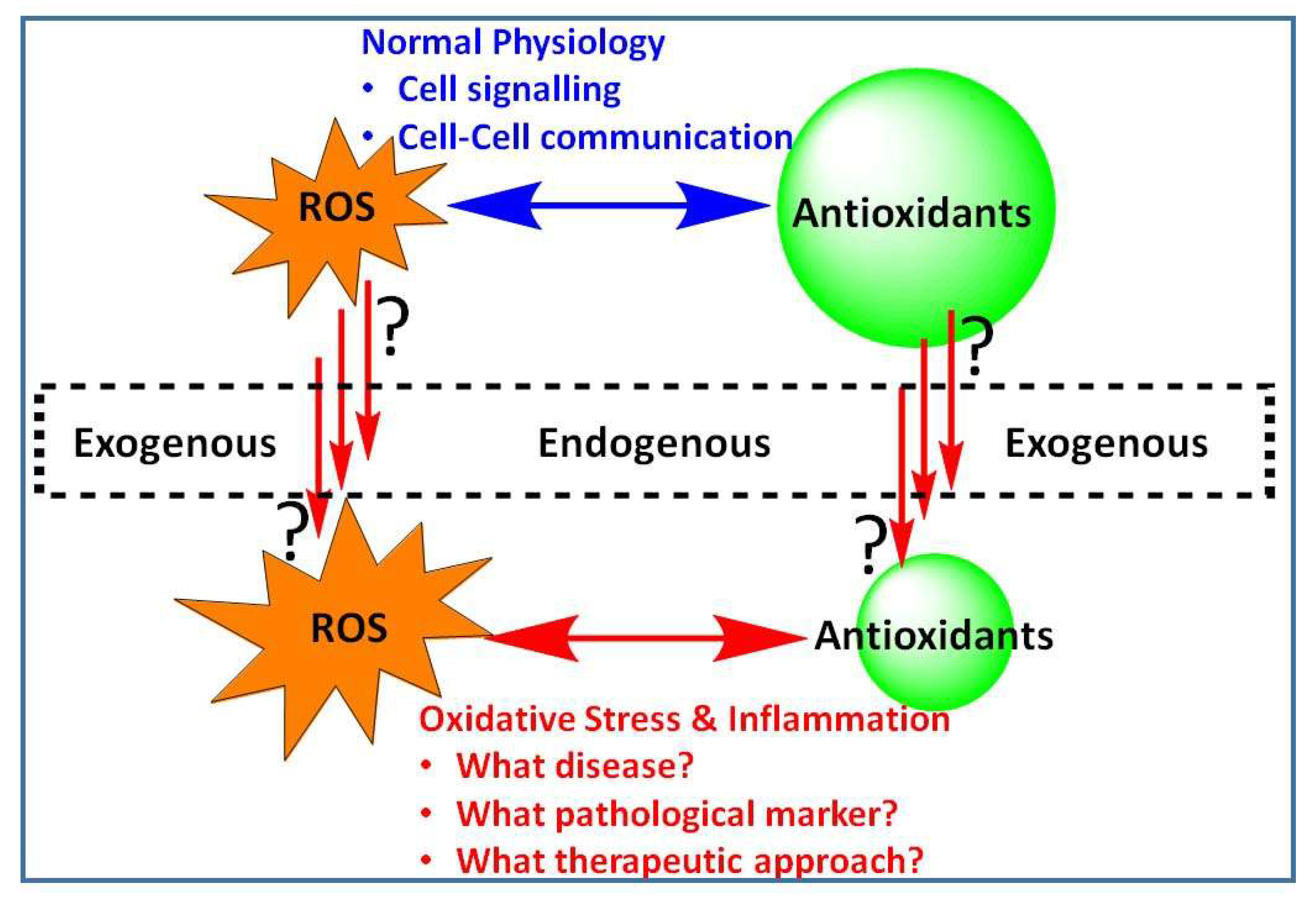Antioxidants 08 00513 g001