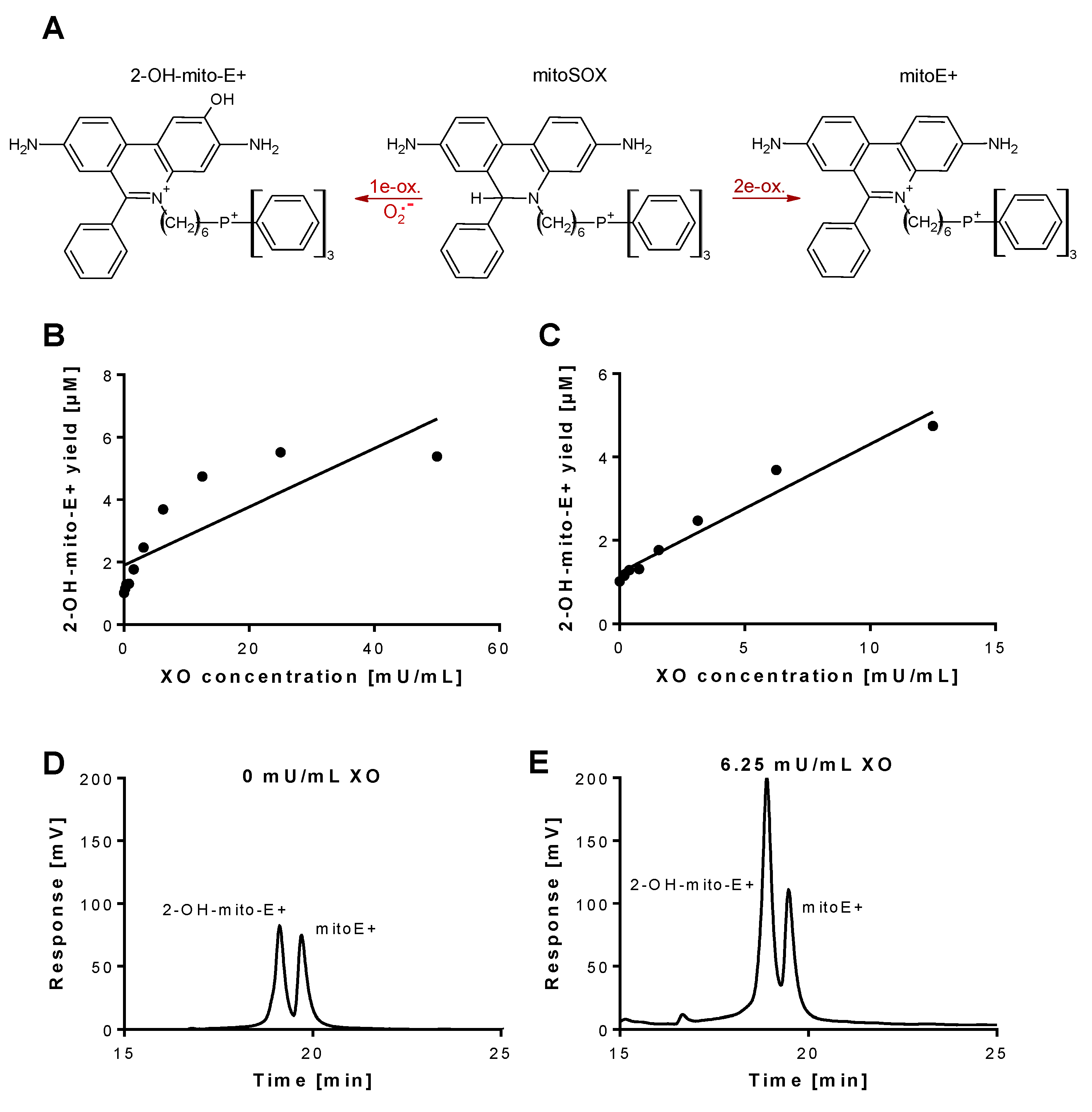 Antioxidants 08 00514 g001 Antioxidants 08 00514 g001