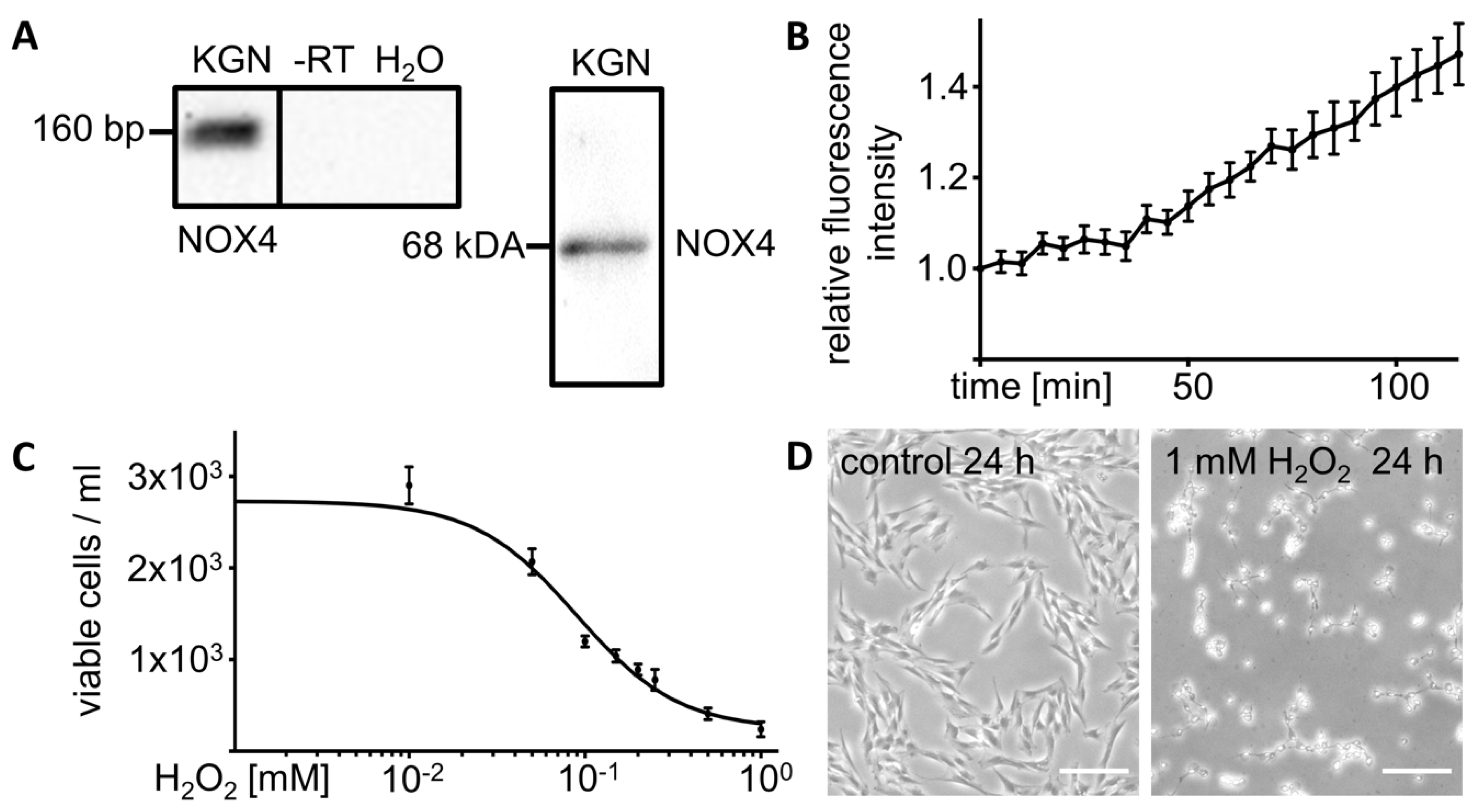 Antioxidants 08 00518 g001 Antioxidants 08 00518 g001