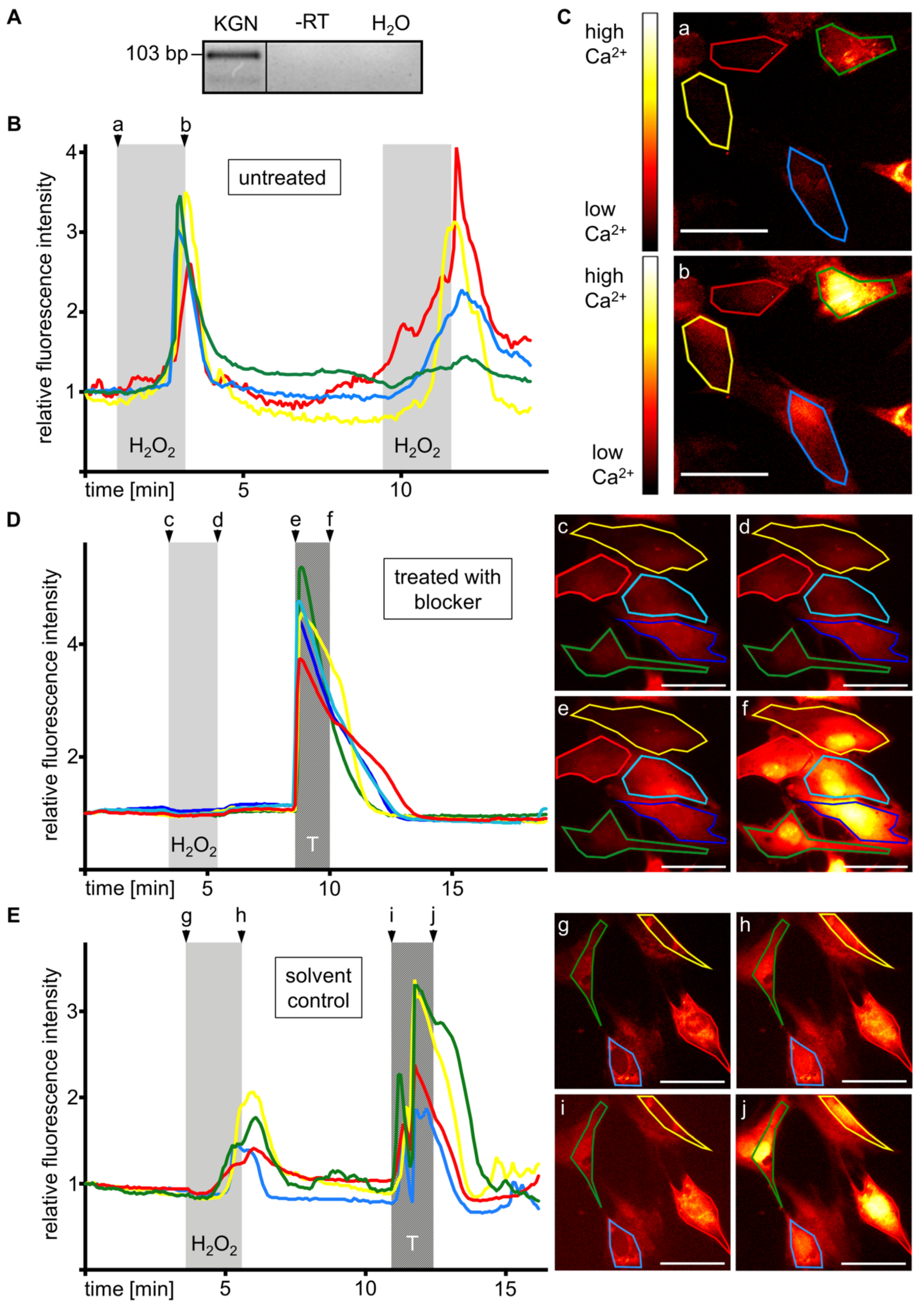 Antioxidants 08 00518 g004 Antioxidants 08 00518 g004