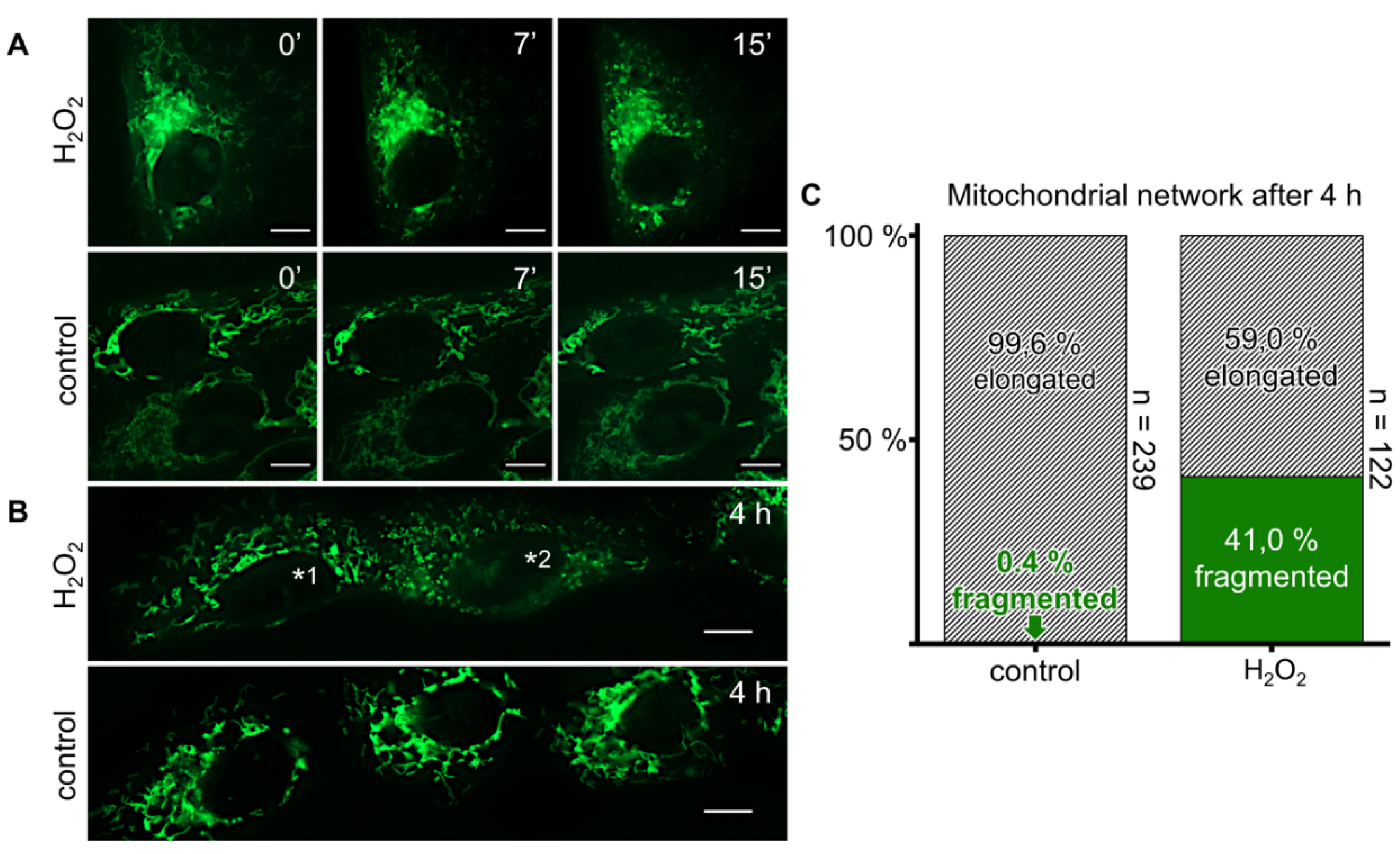 Antioxidants 08 00518 g005 Antioxidants 08 00518 g005