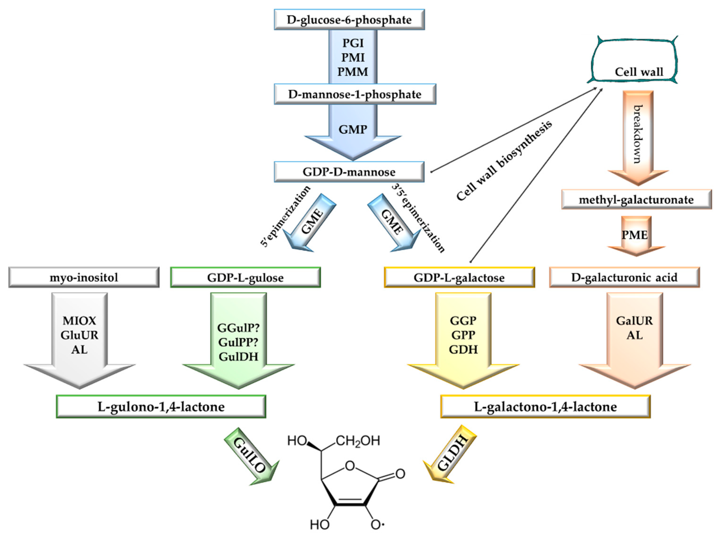 Antioxidants 08 00519 g002