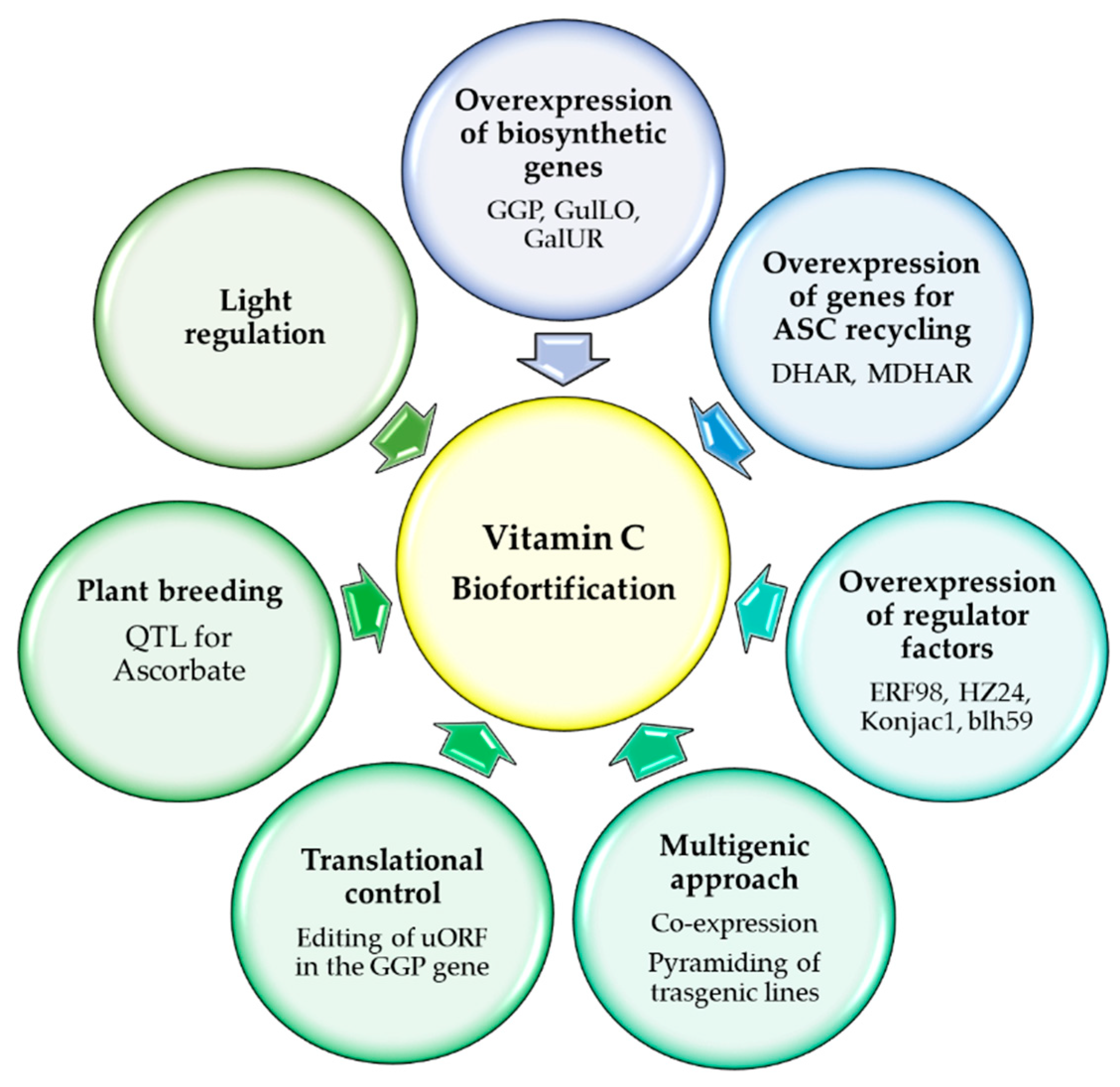 Antioxidants 08 00519 g004