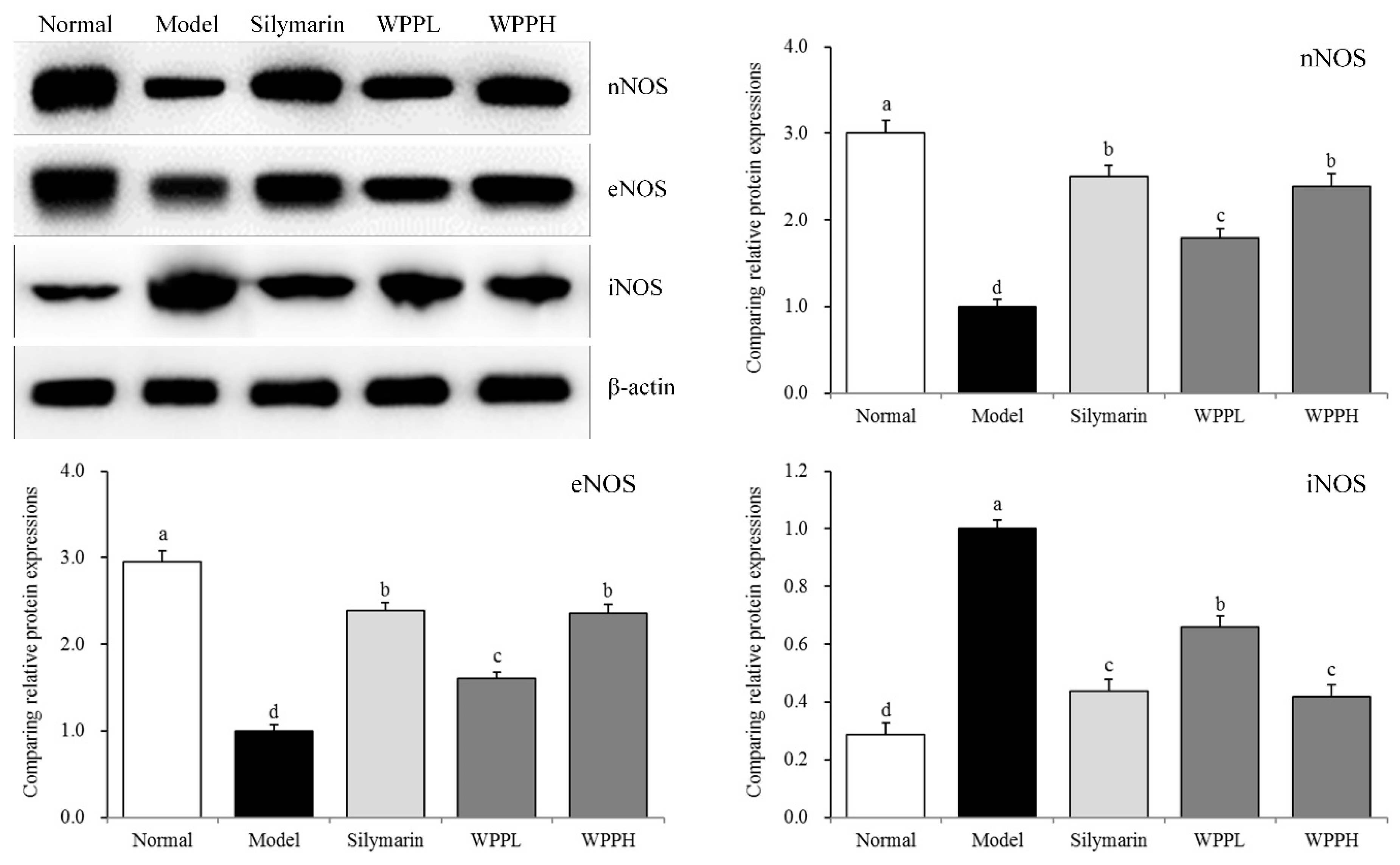 Antioxidants 08 00524 g004