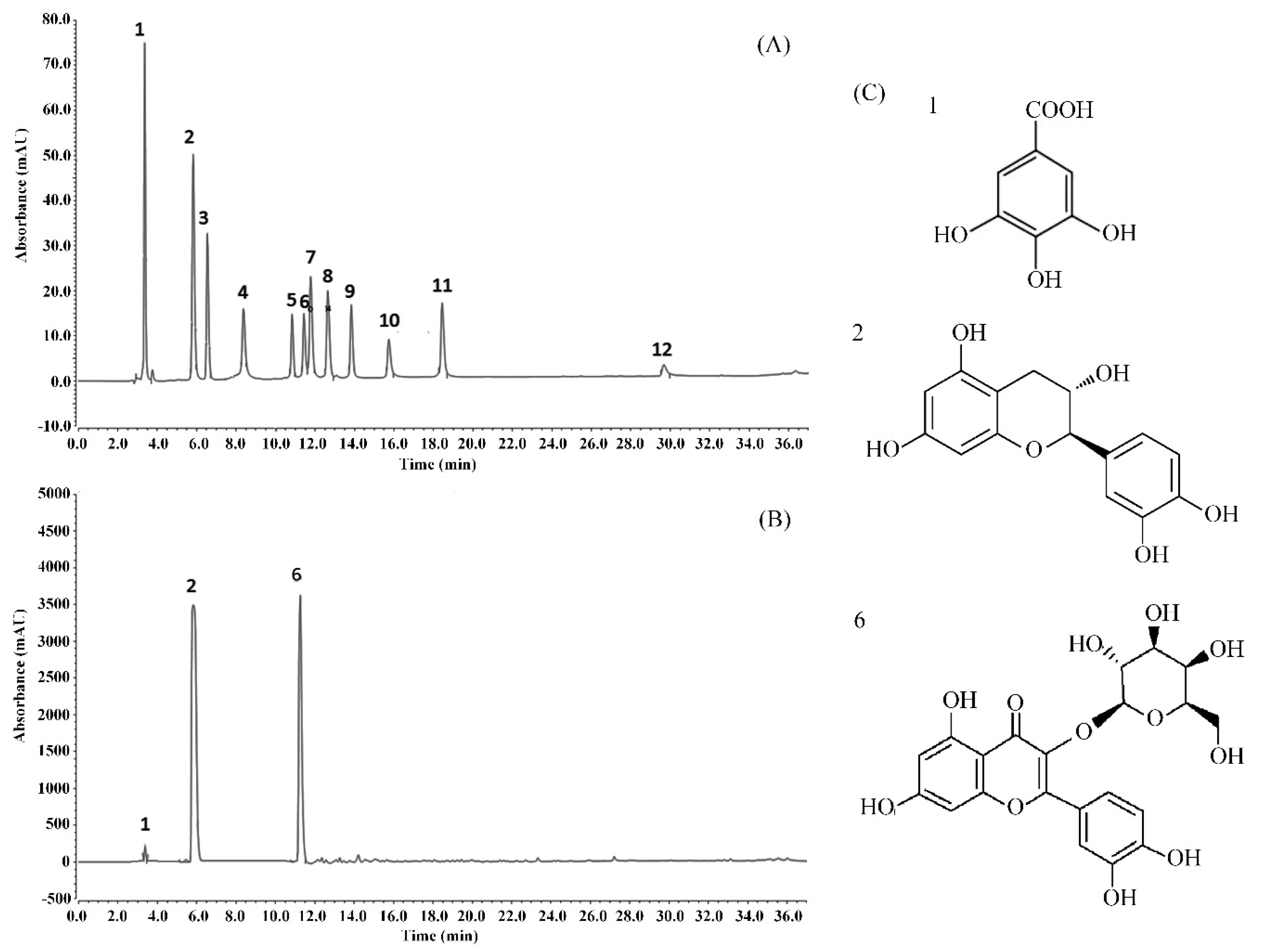 Antioxidants 08 00524 g006