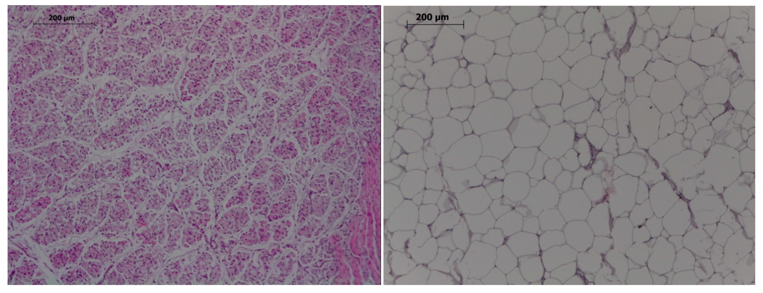 Antioxidants 08 00535 g001