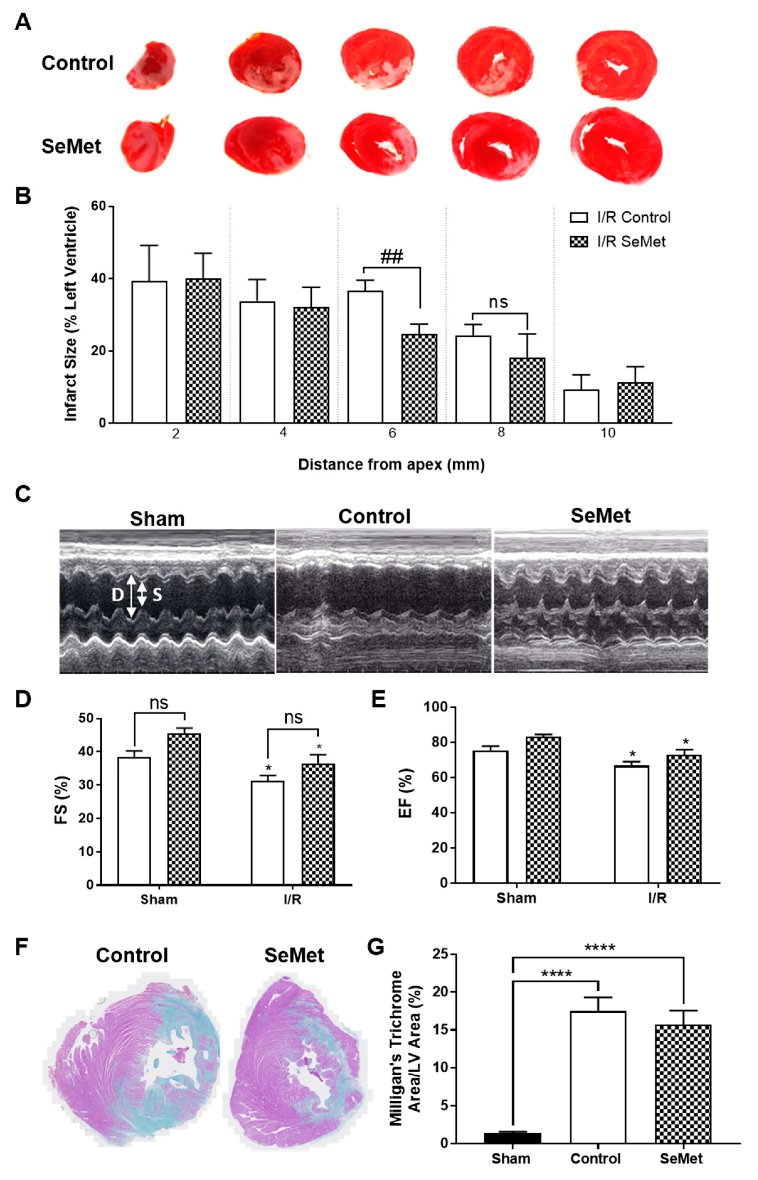 Antioxidants 08 00546 g004 Antioxidants 08 00546 g004