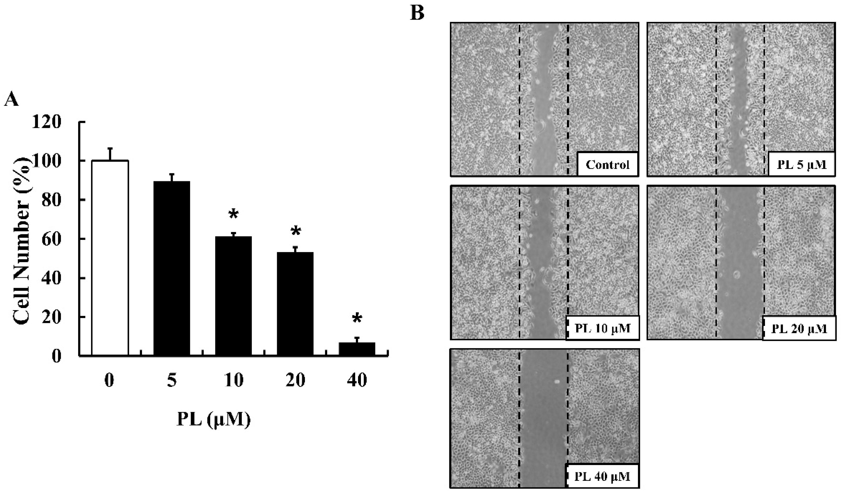 Antioxidants 08 00553 g001